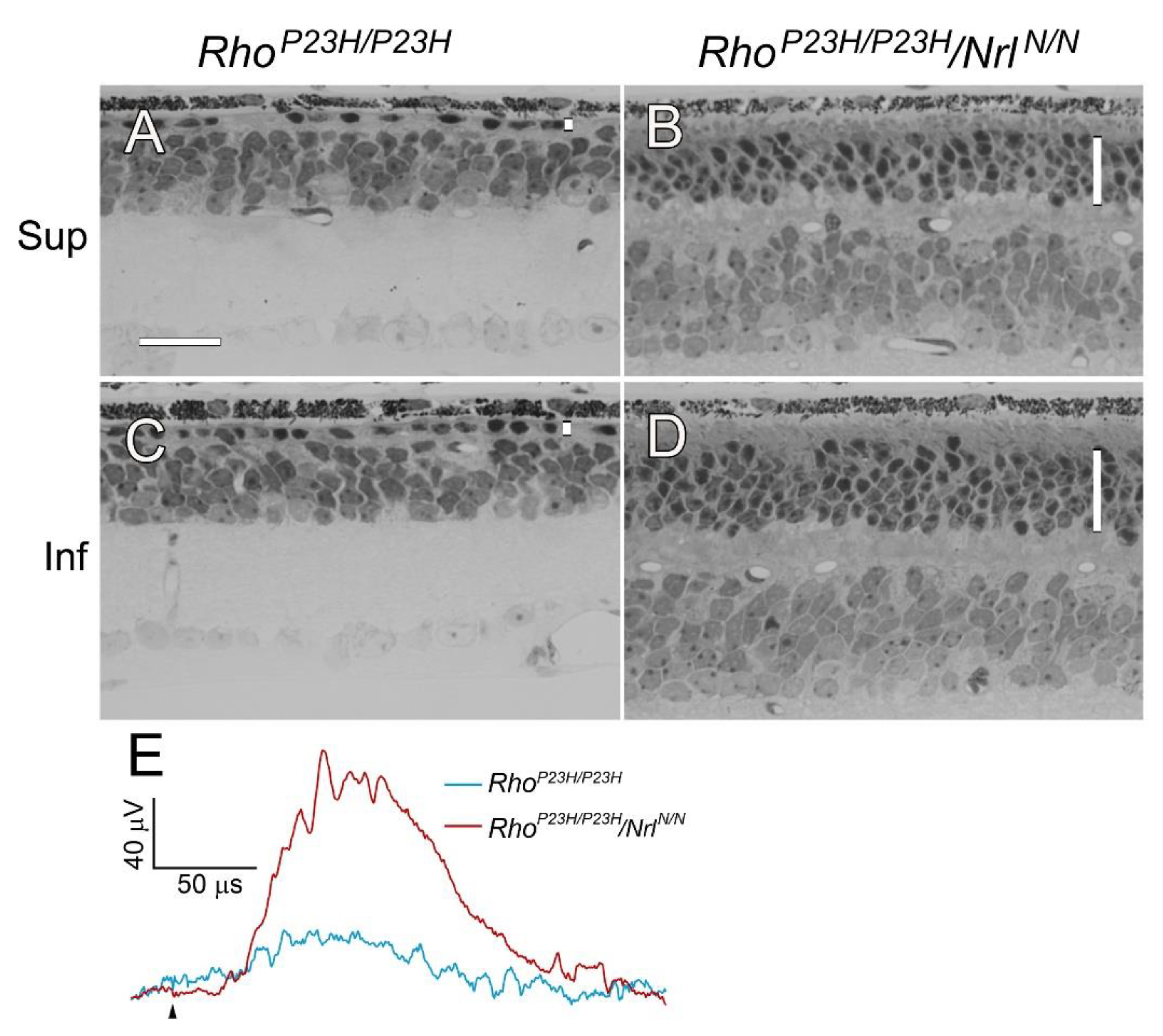 Preprints 191819 g006