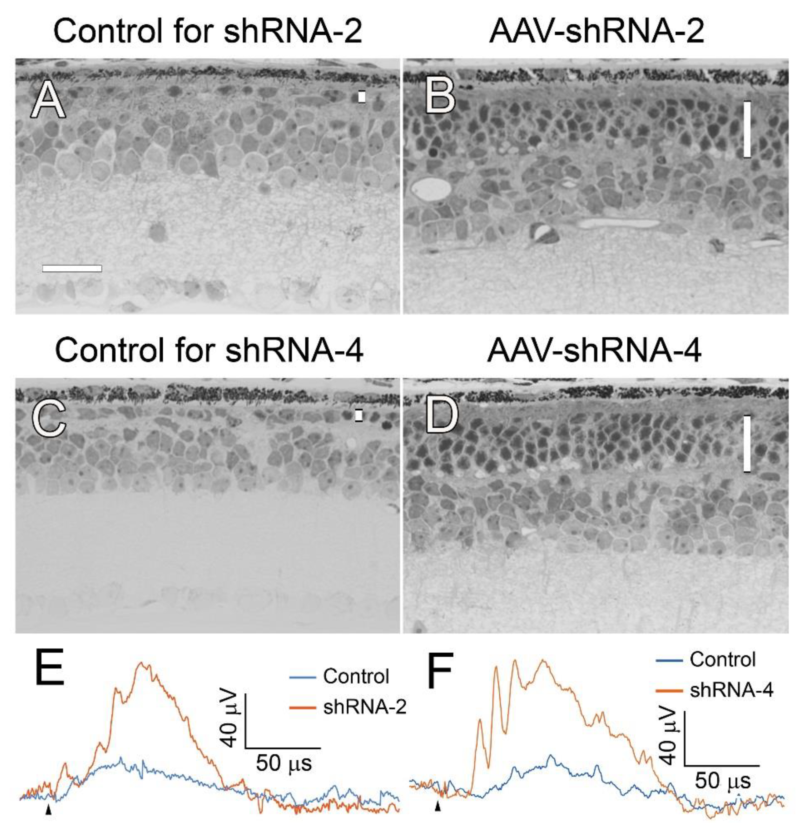 Preprints 191819 g008