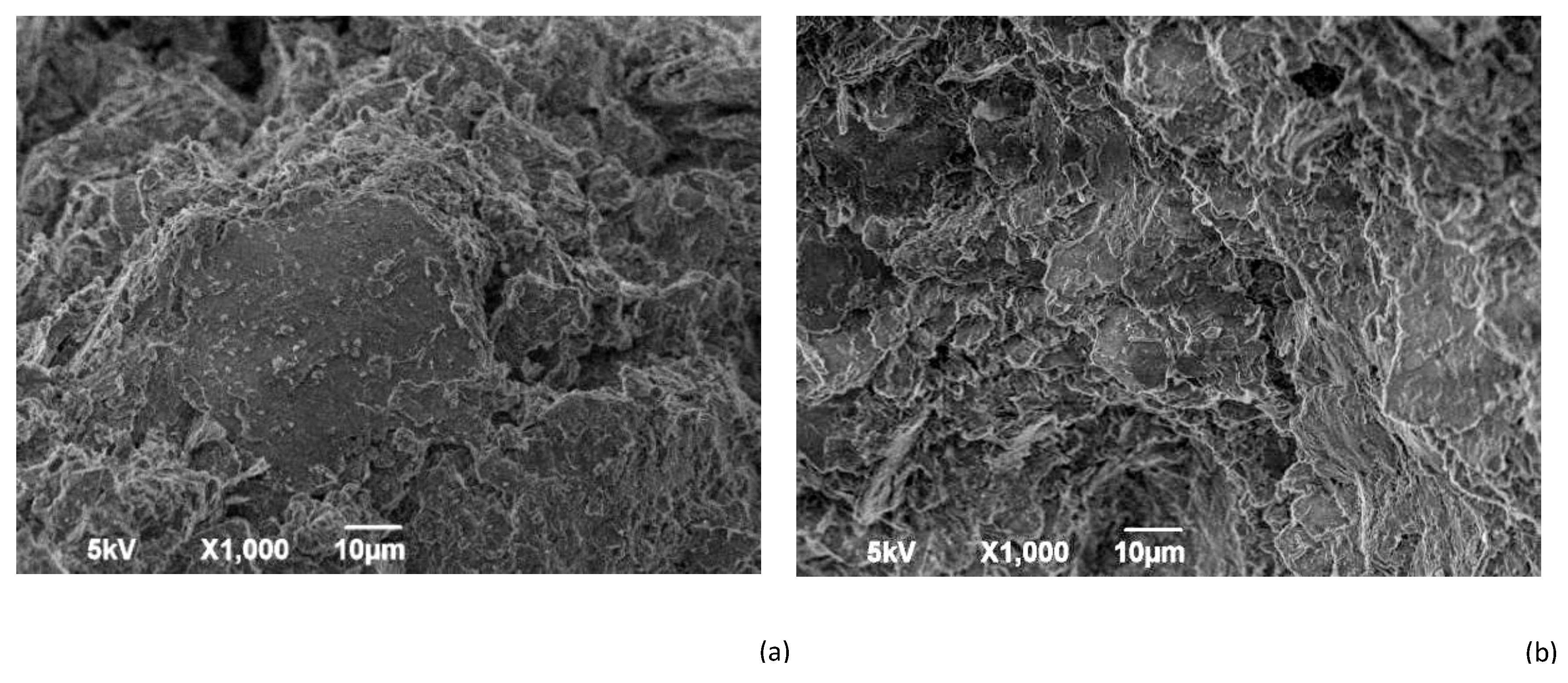 Preprints 154495 g010a