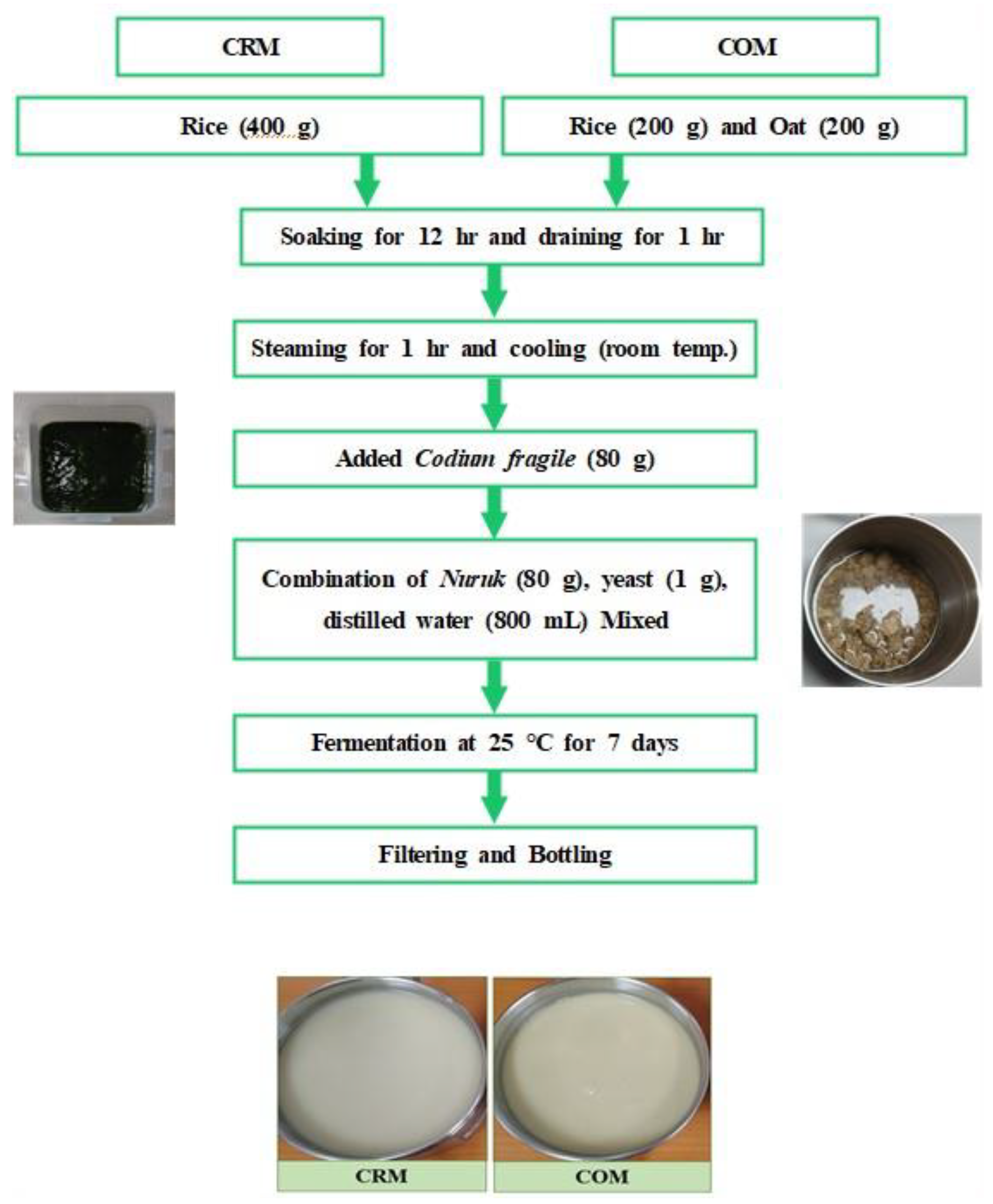 Preprints 95304 g001