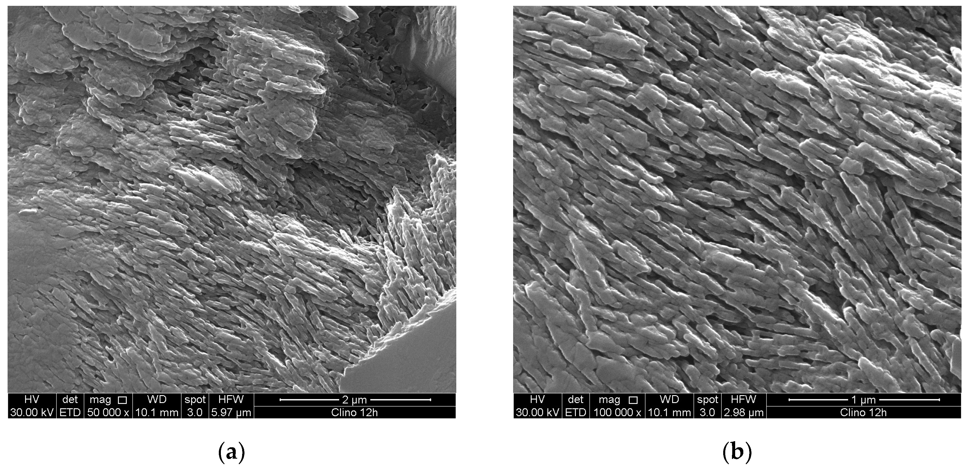 Preprints 100391 g005