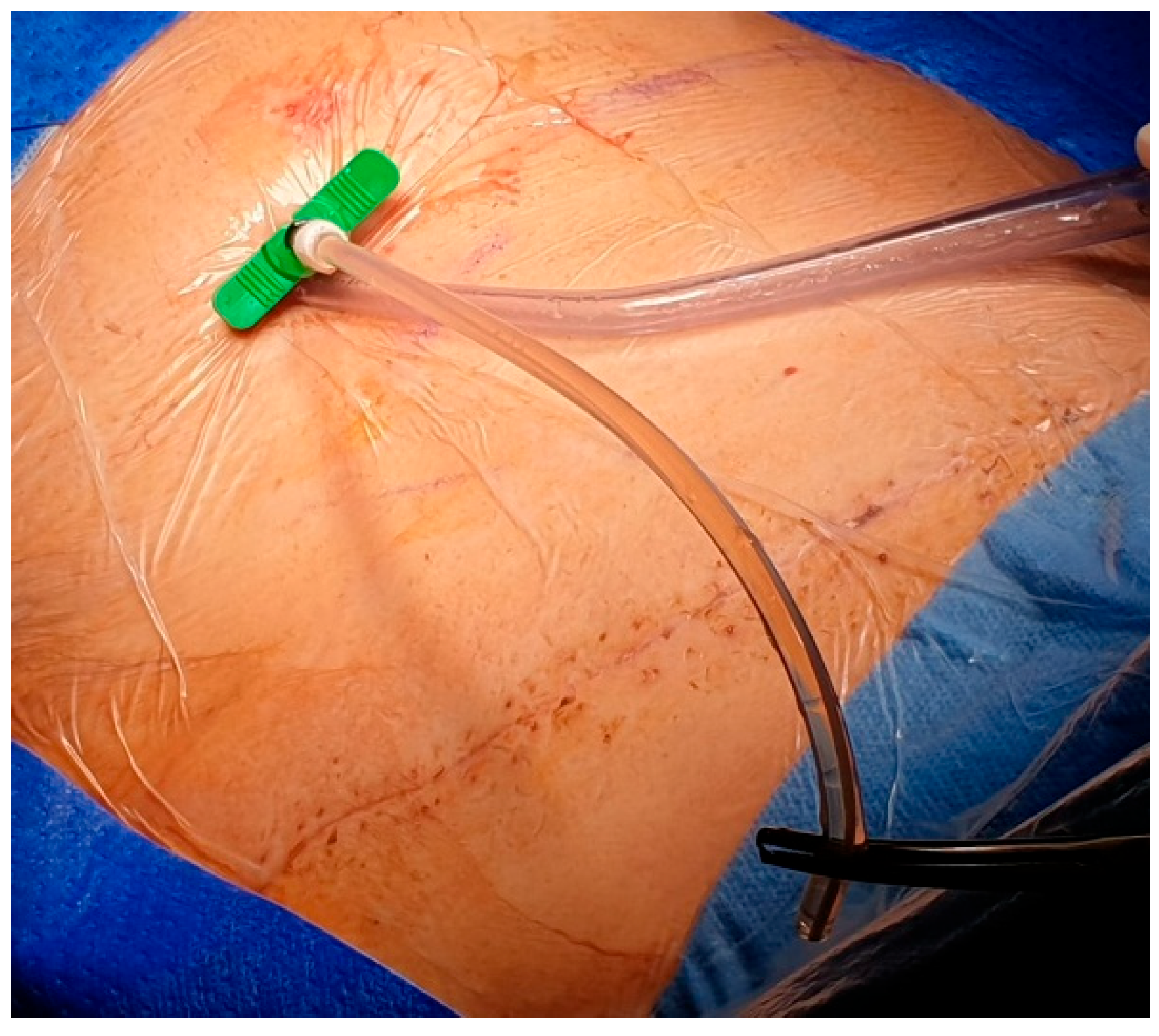 Preprints 180206 g002