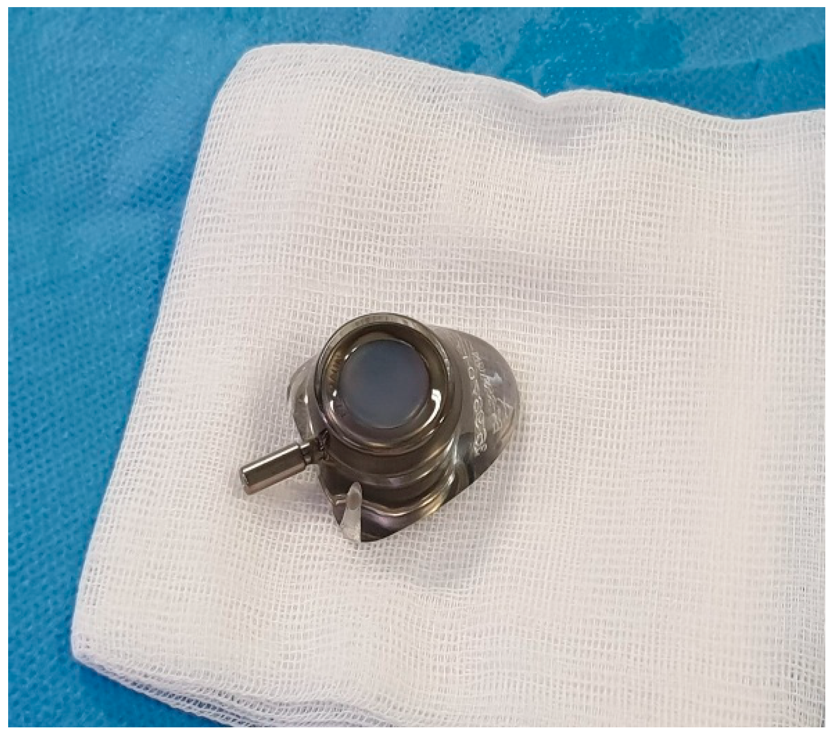 Preprints 180206 g006