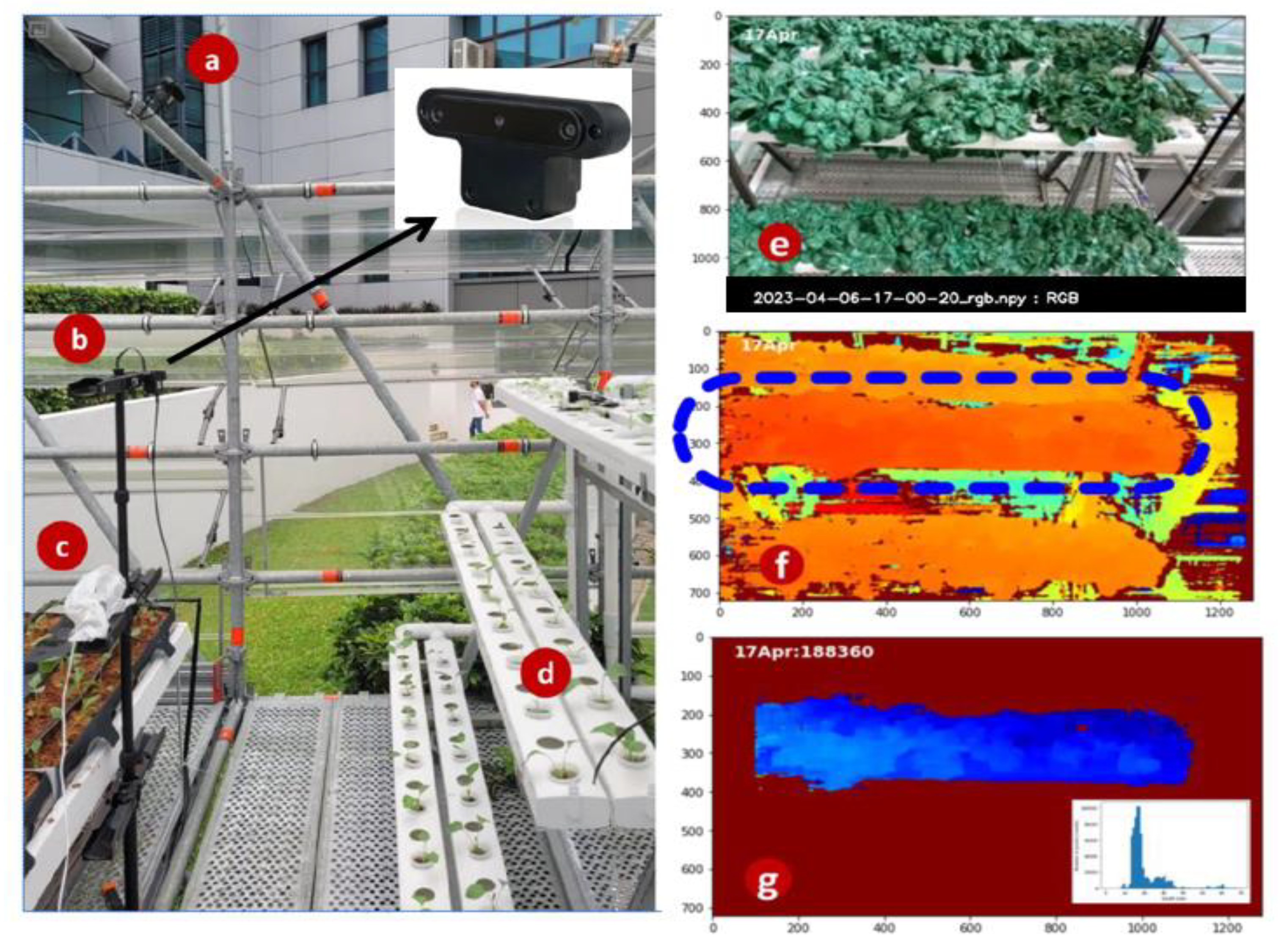 Preprints 192747 g004