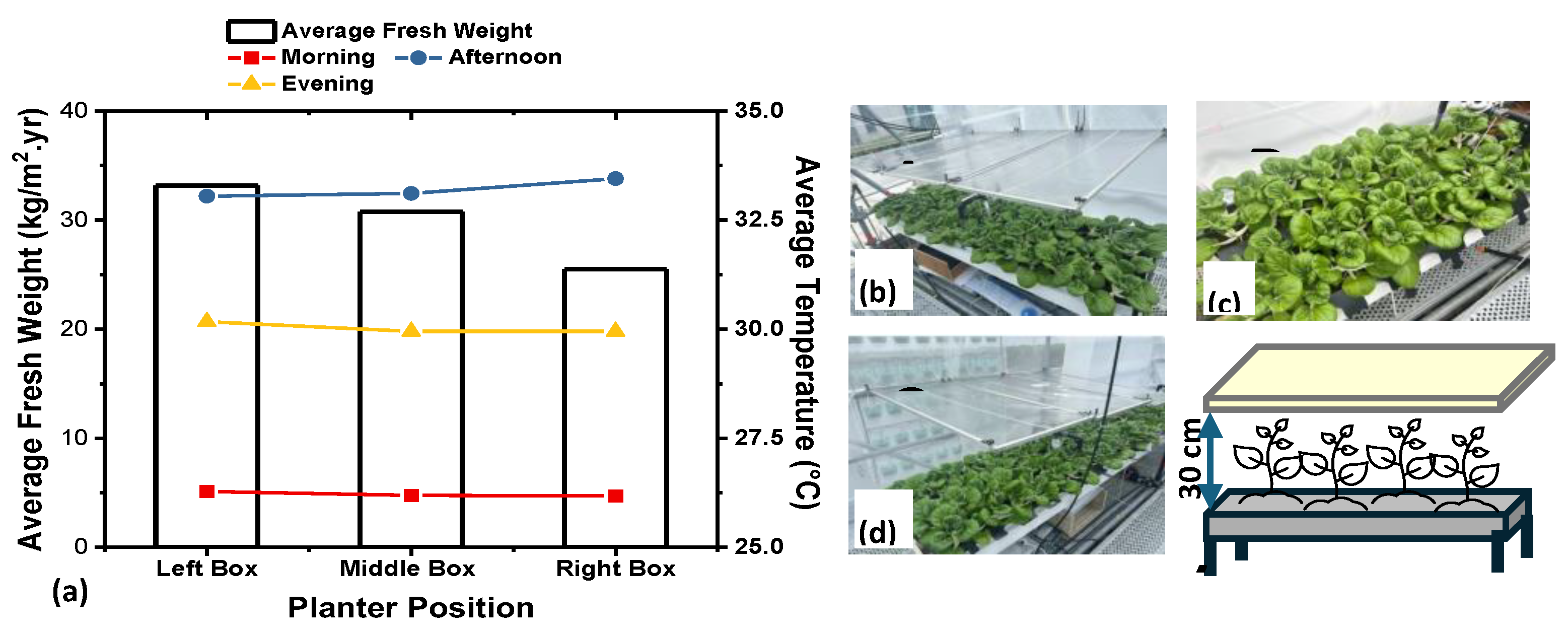 Preprints 192747 g005
