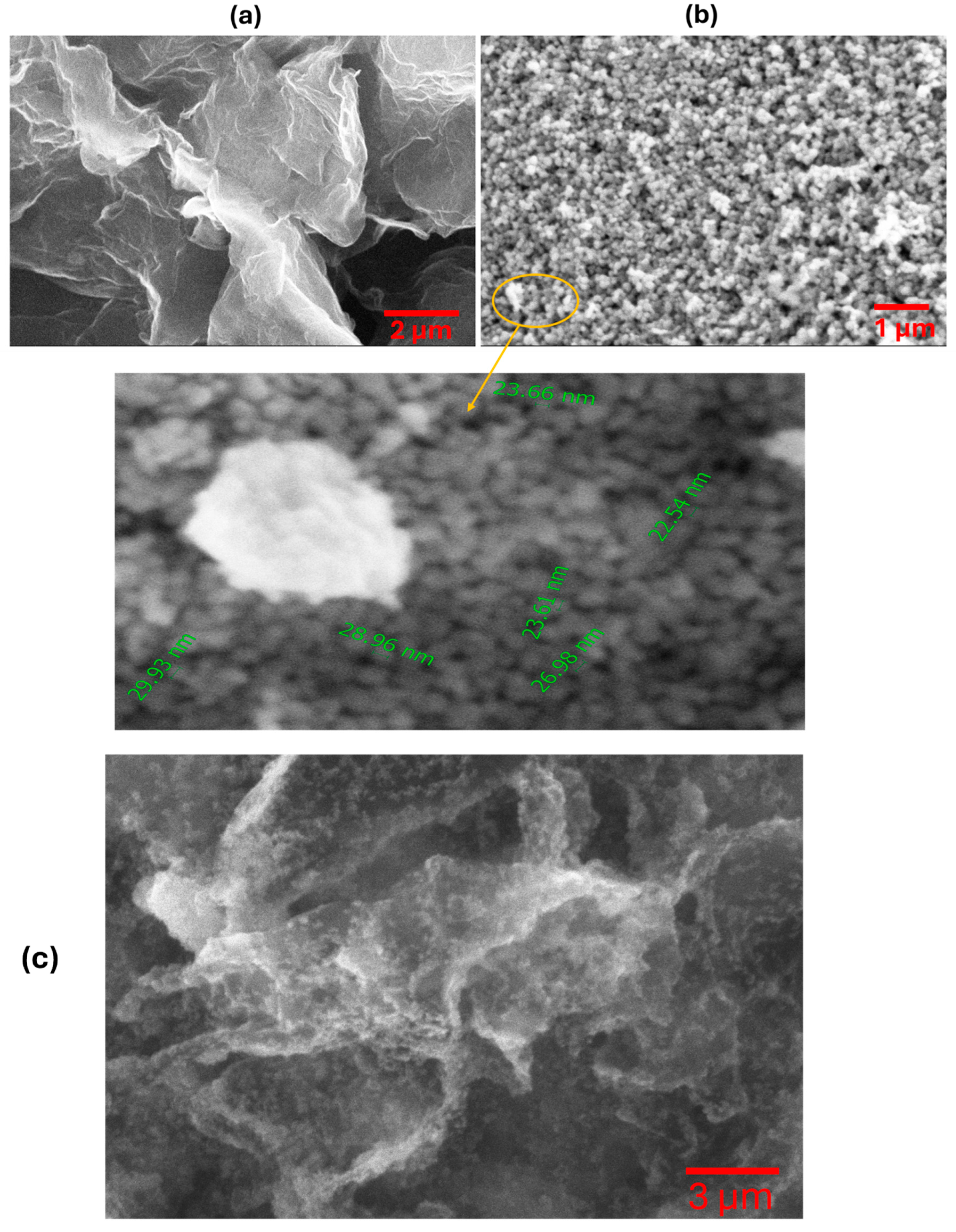 Preprints 148854 g003