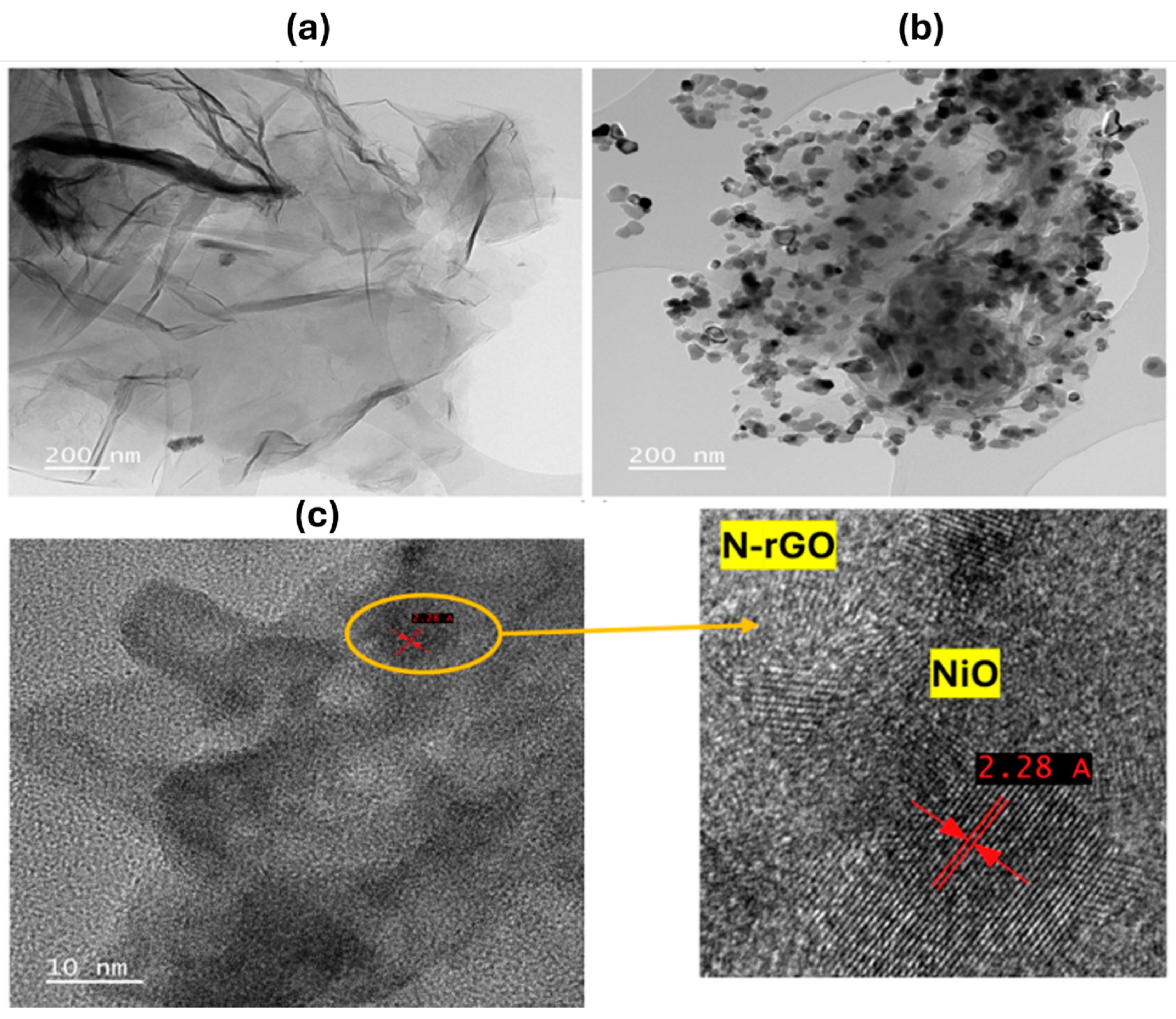 Preprints 148854 g004