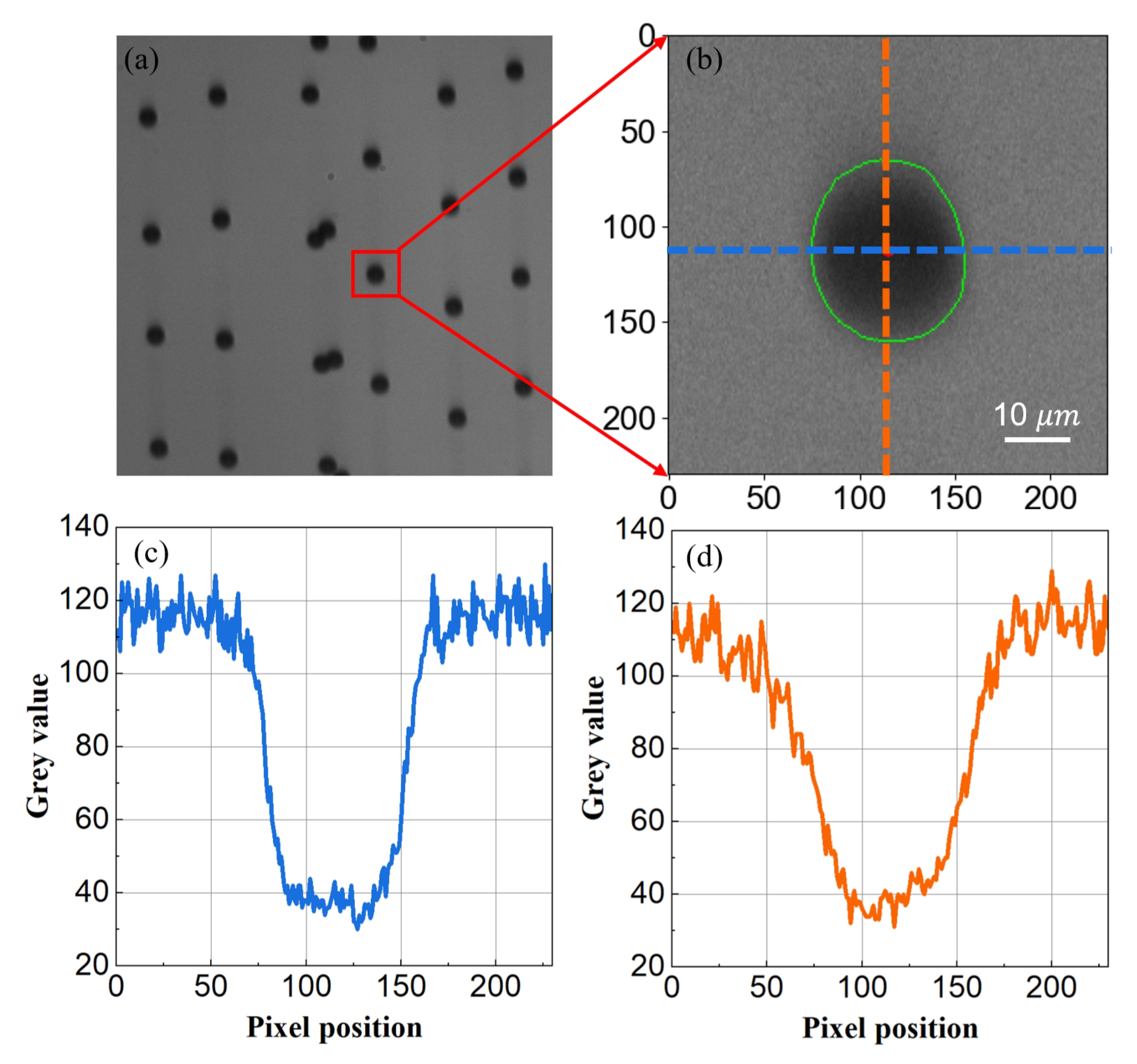 Preprints 169143 g002