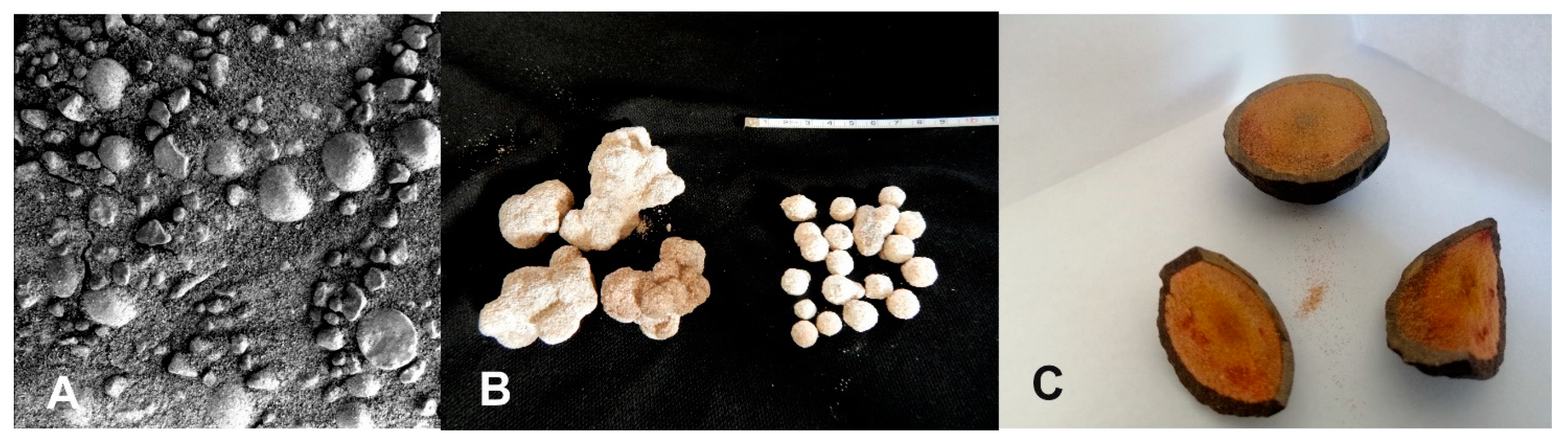 Preprints 148685 g002