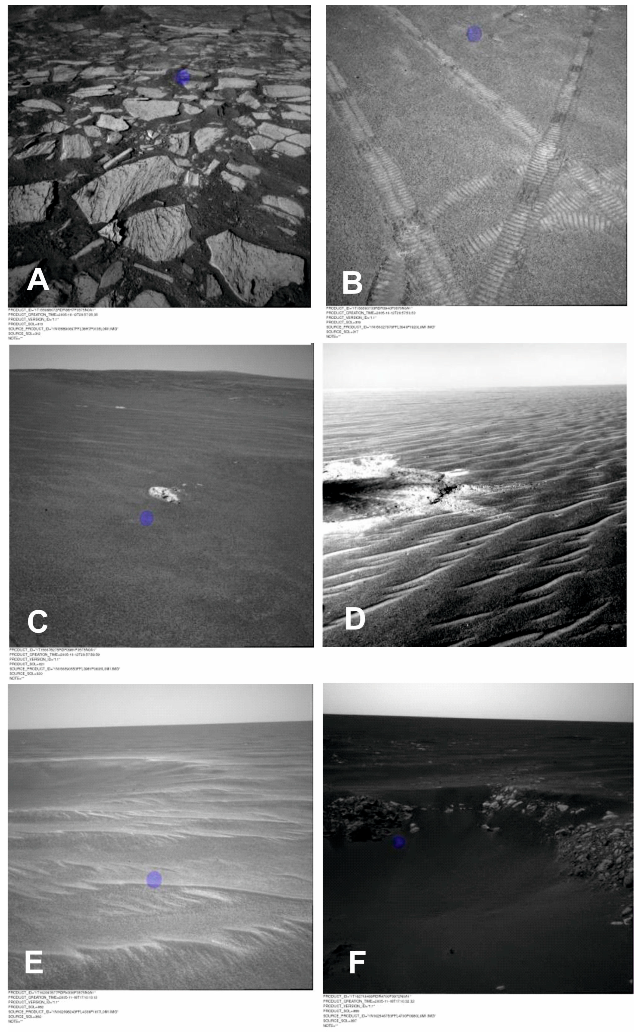 Preprints 148685 g006