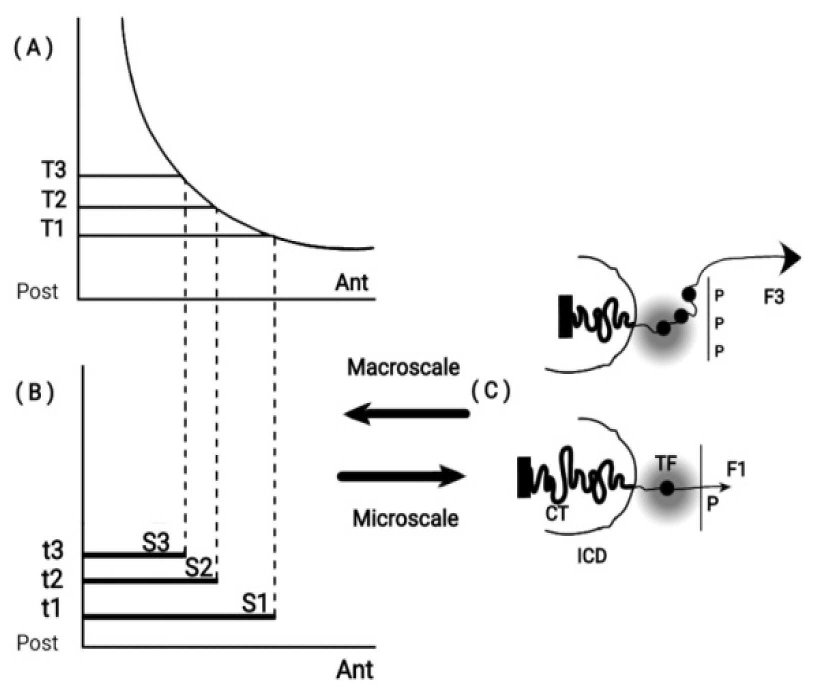 Preprints 73308 g001