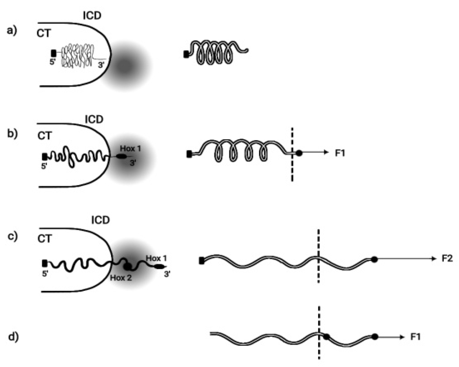 Preprints 73308 g002