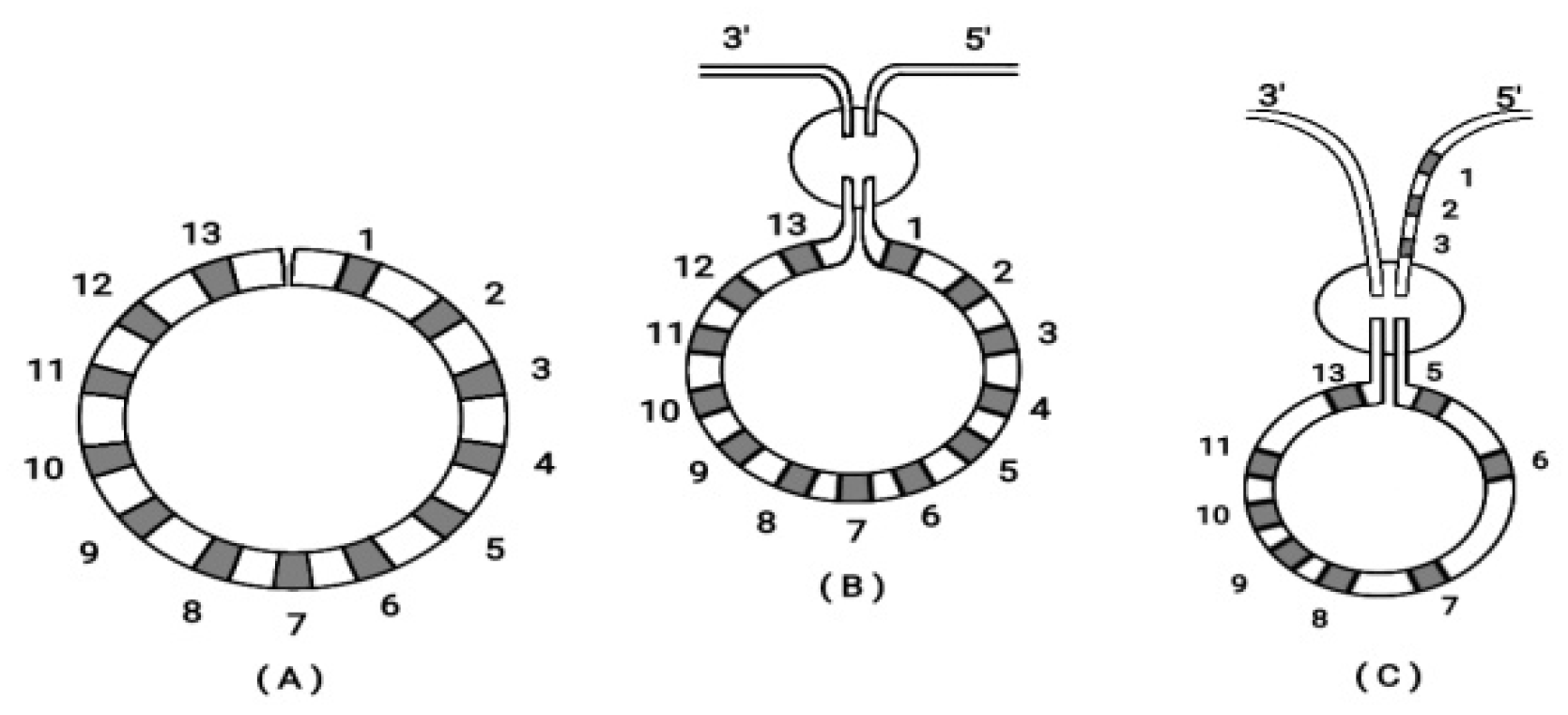 Preprints 73308 g006