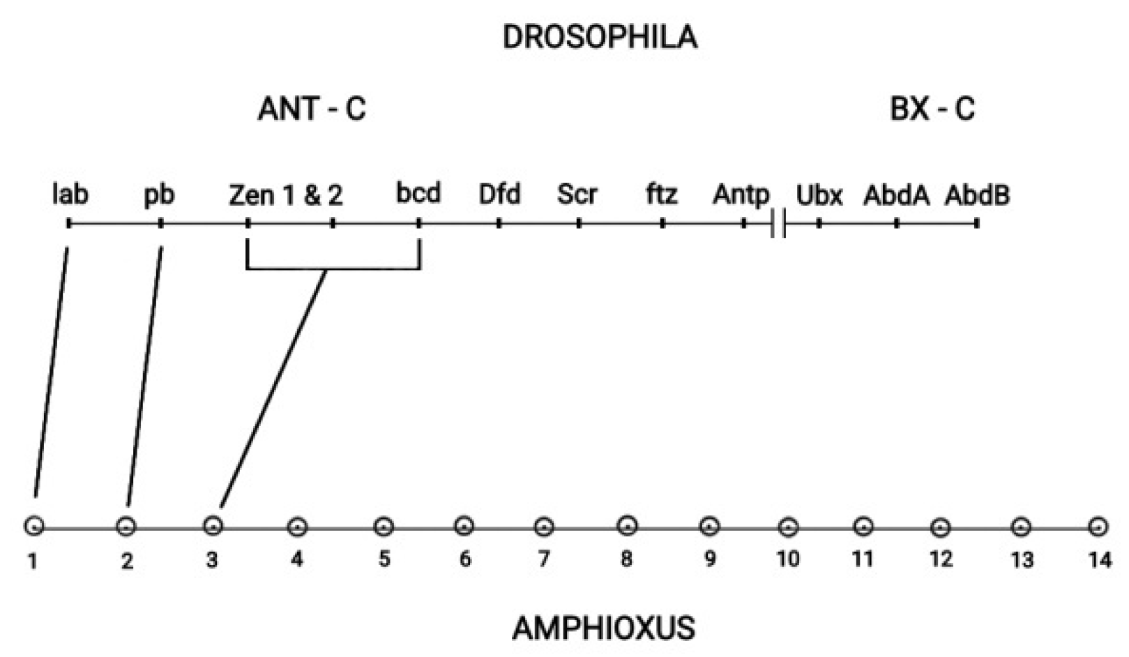 Preprints 73308 g008