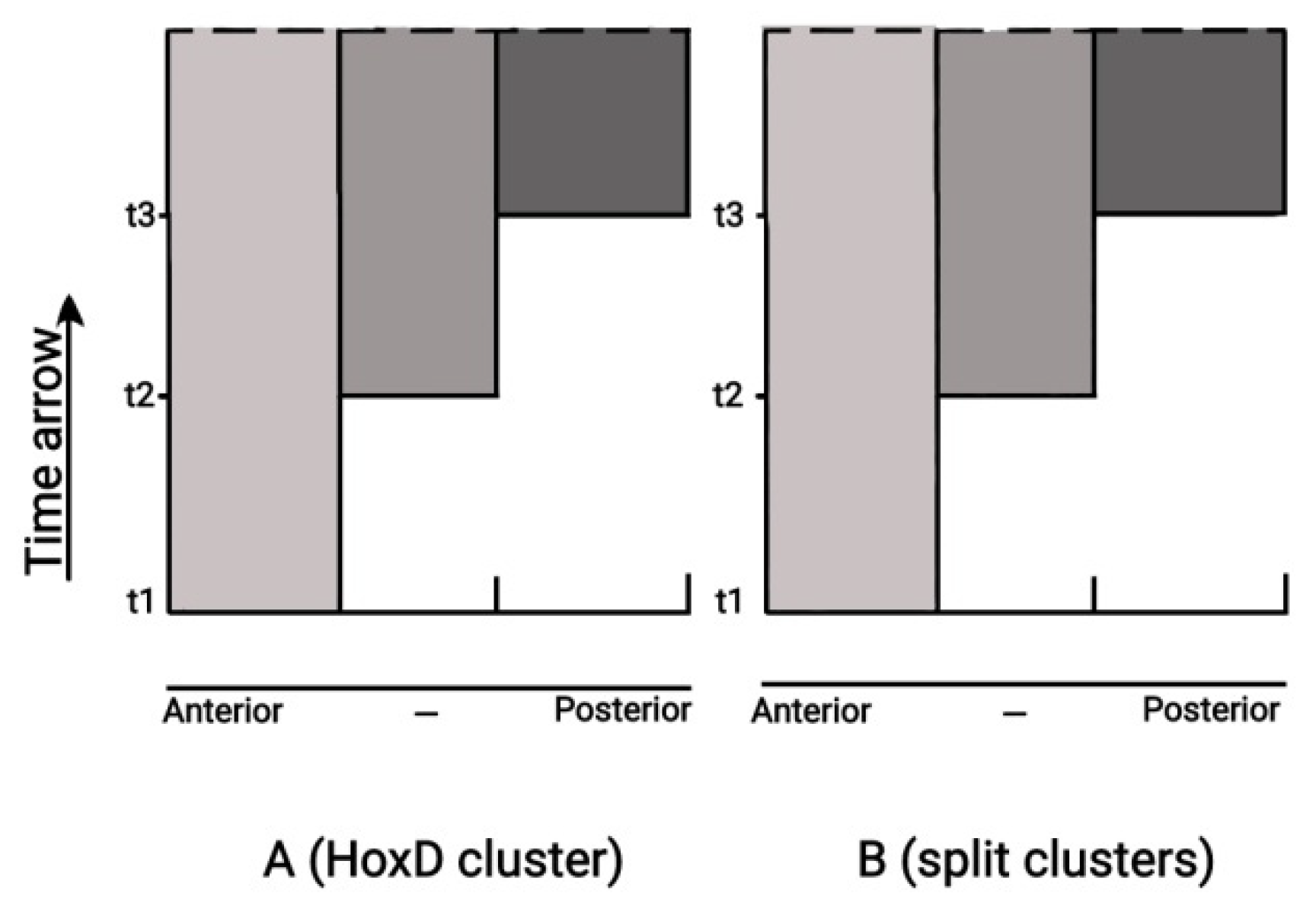 Preprints 73308 g009