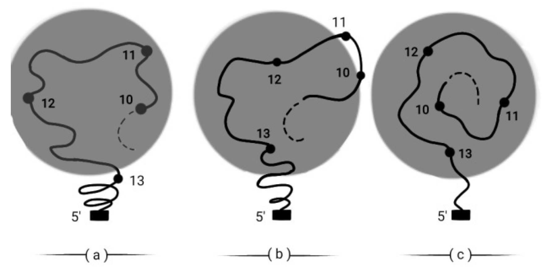 Preprints 73308 g010