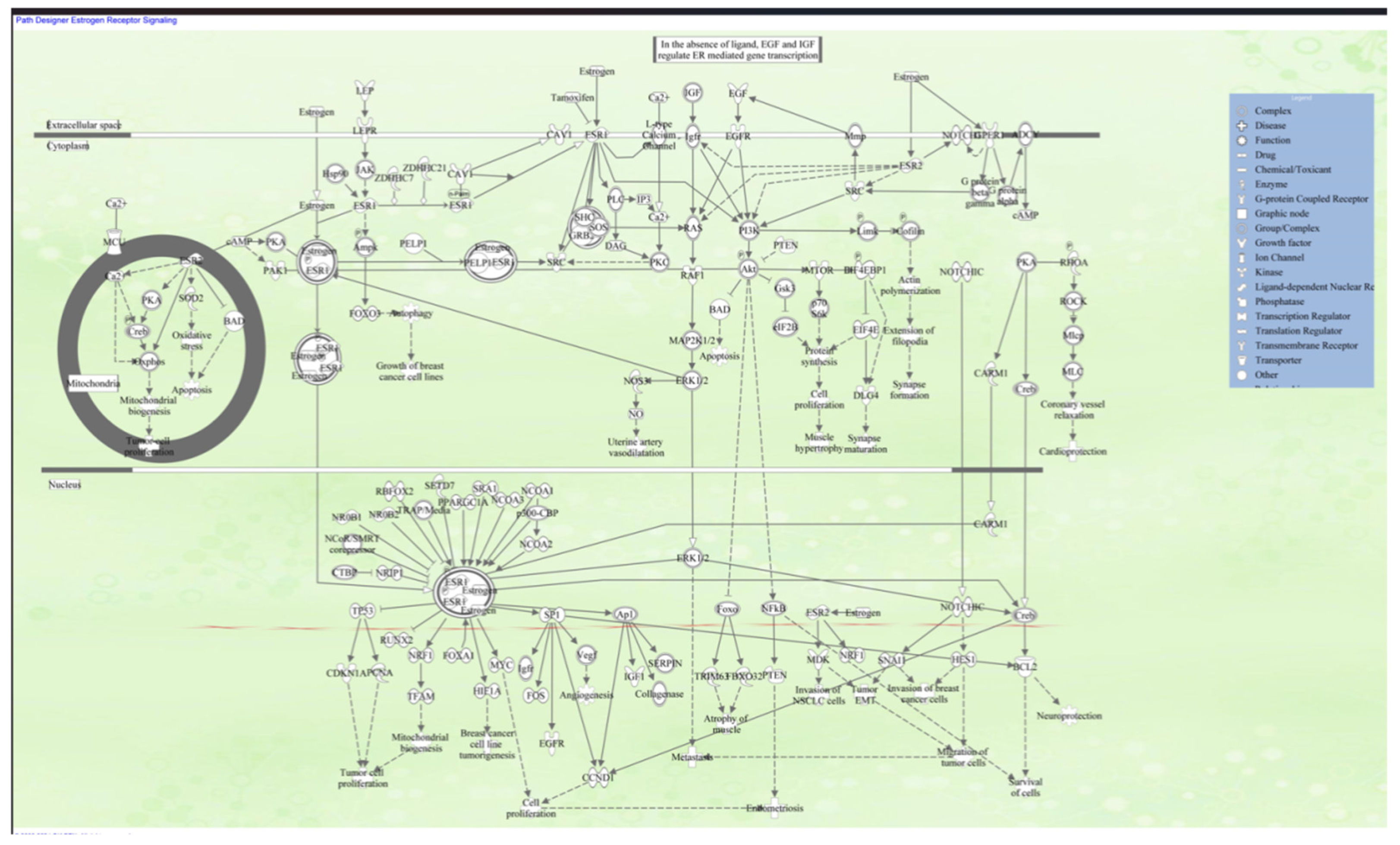 Preprints 187428 g001