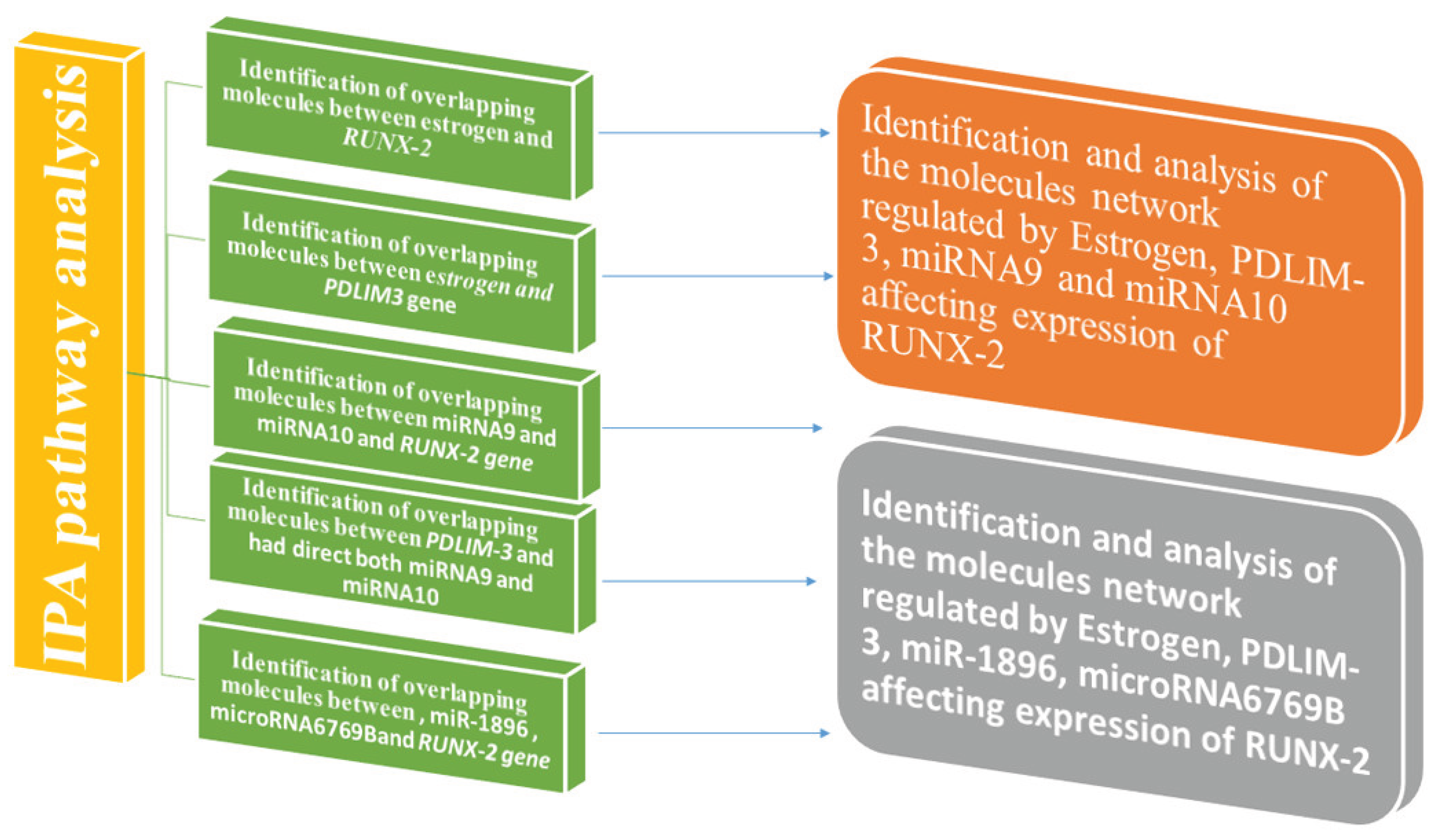 Preprints 187428 g002