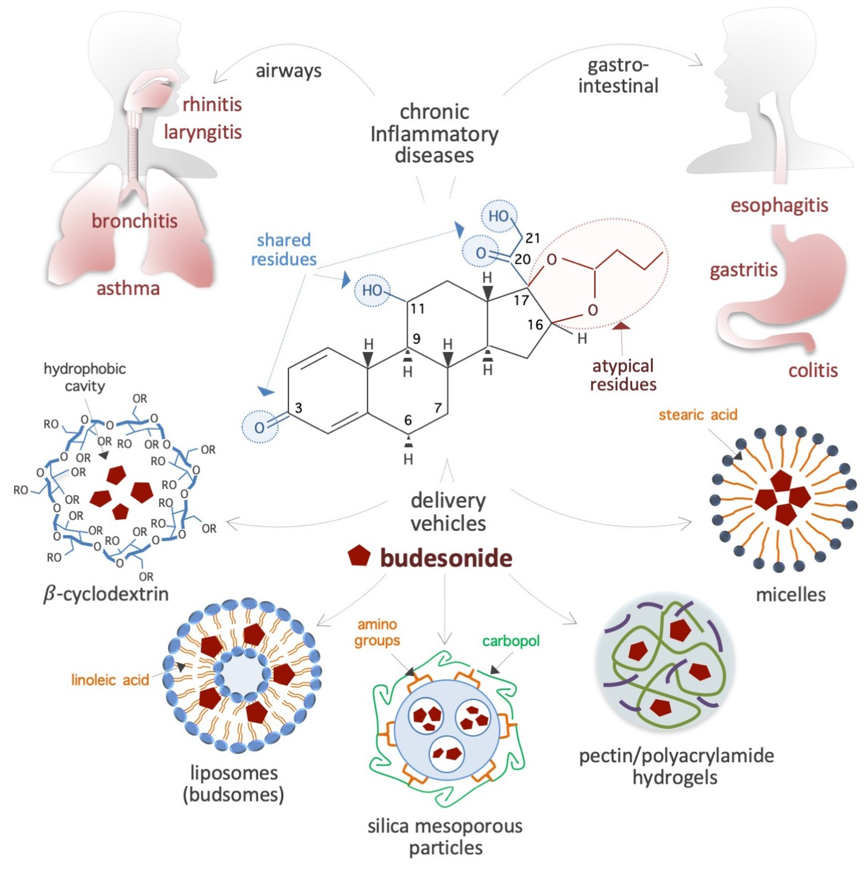 Preprints 150800 g001