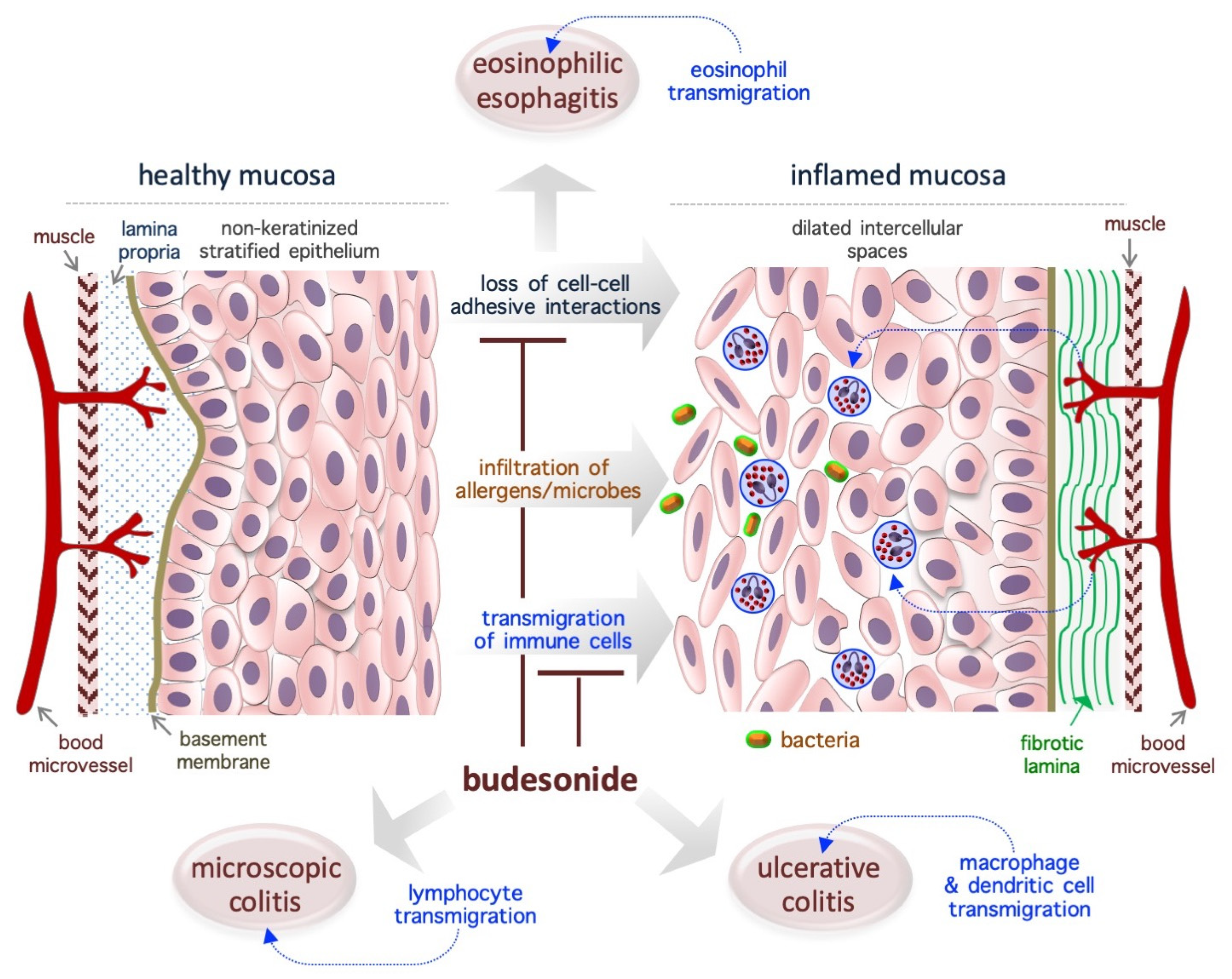 Preprints 150800 g002