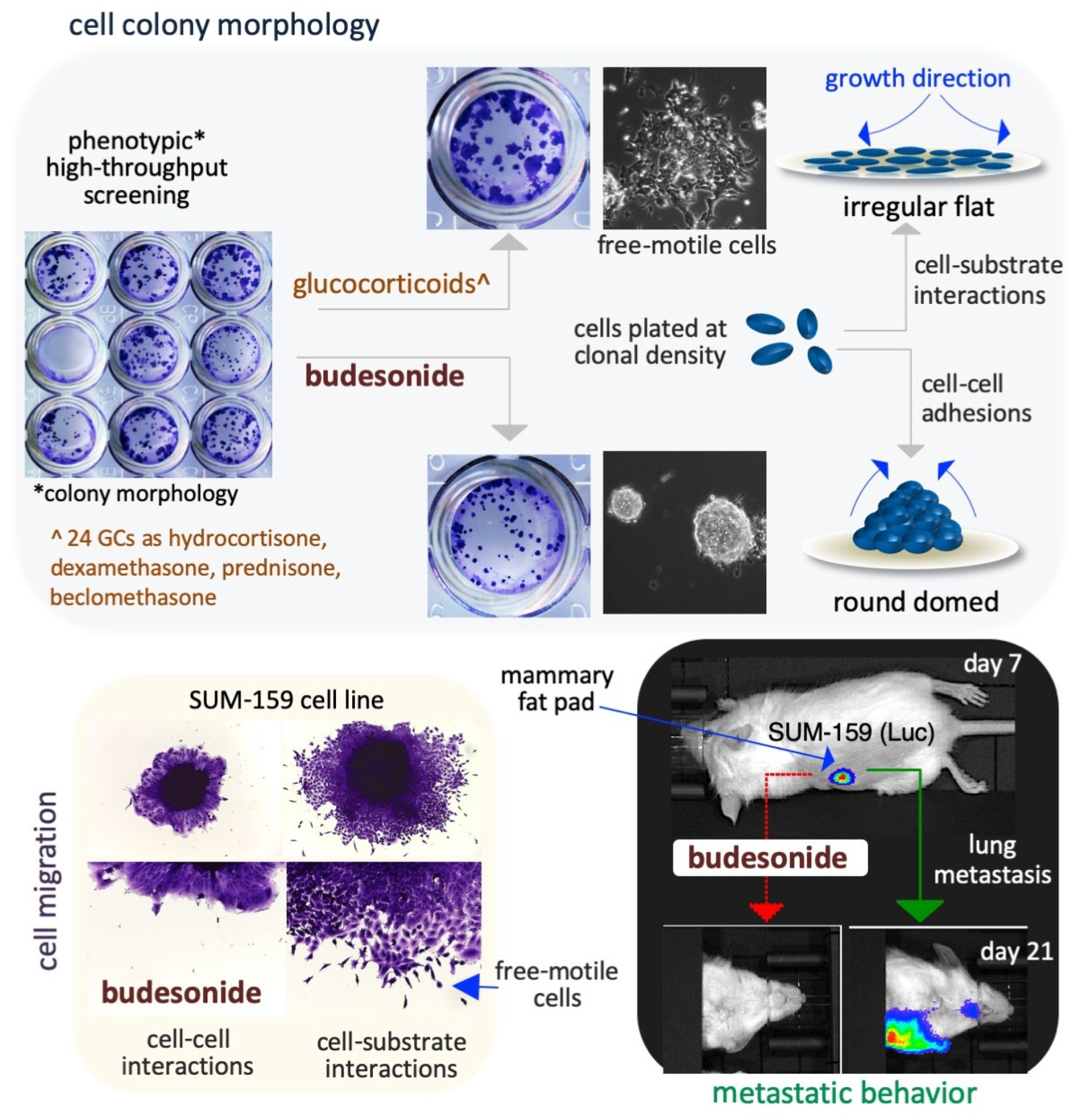 Preprints 150800 g003