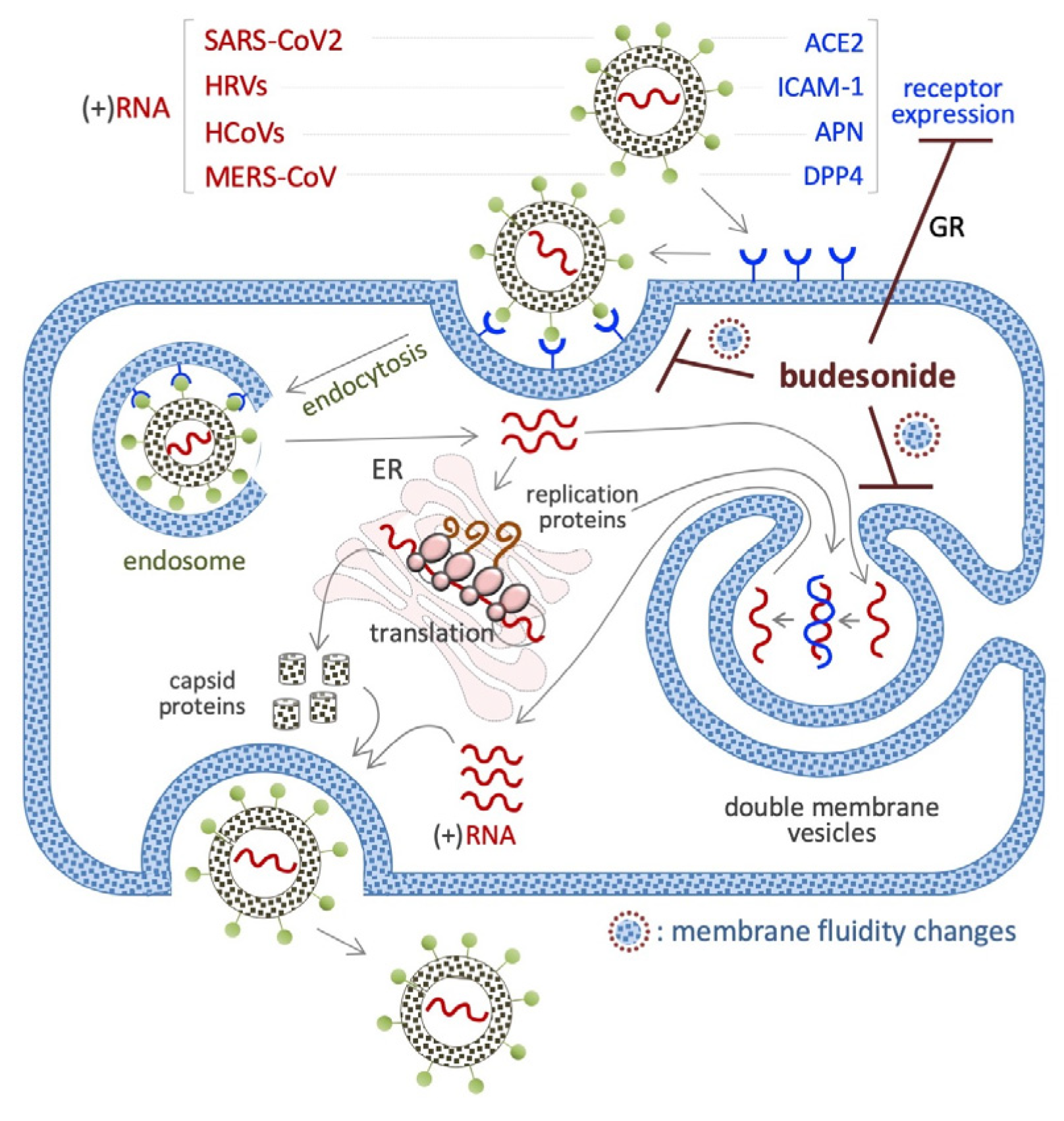 Preprints 150800 g006