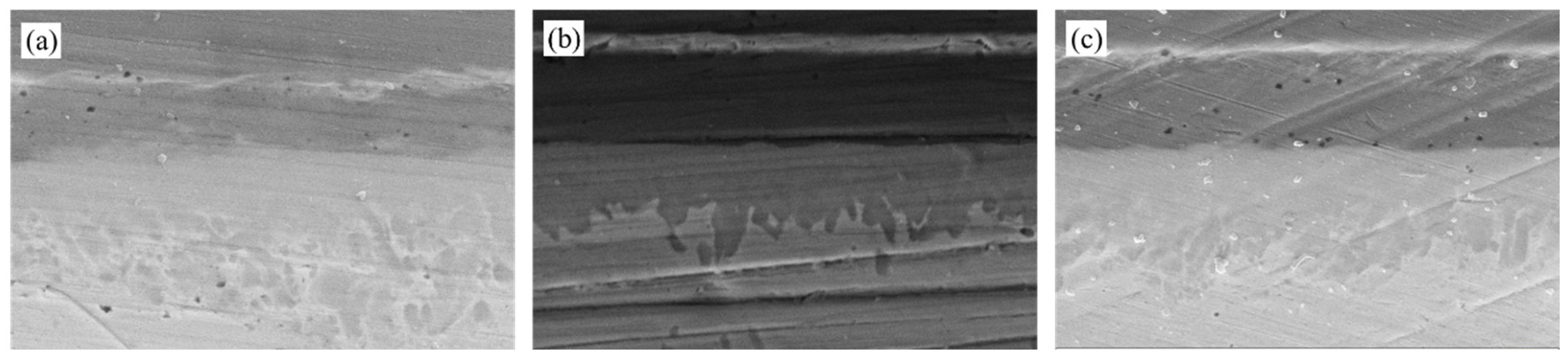 Preprints 163908 g009