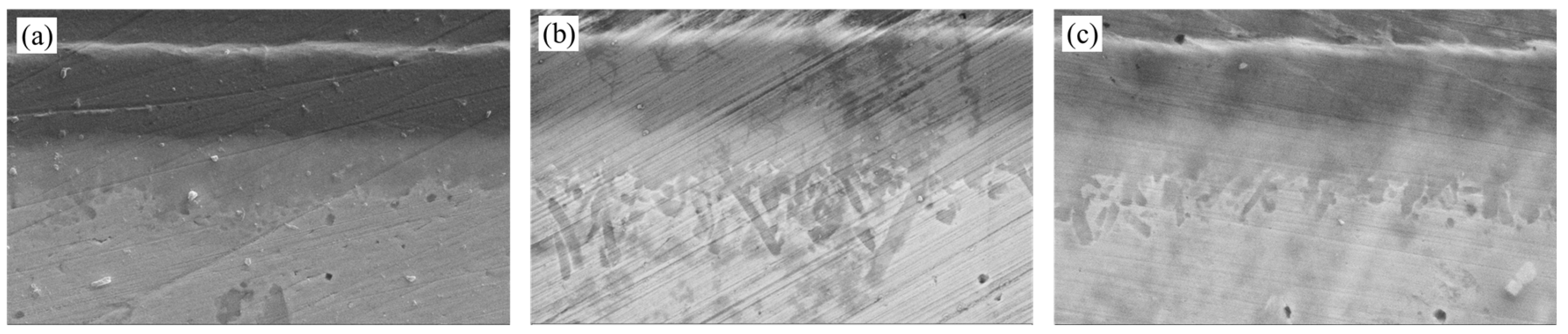 Preprints 163908 g010