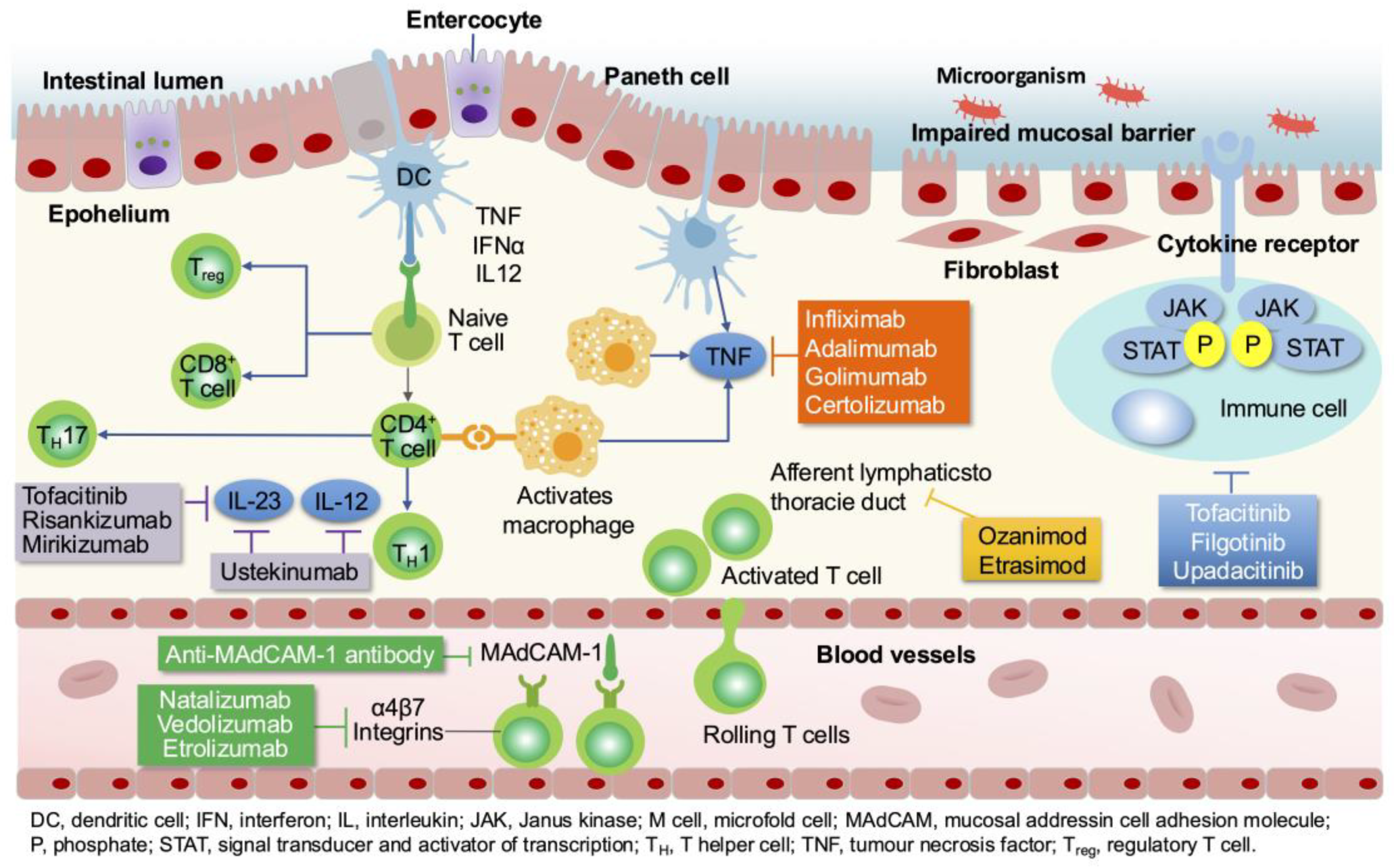 Preprints 146615 g007