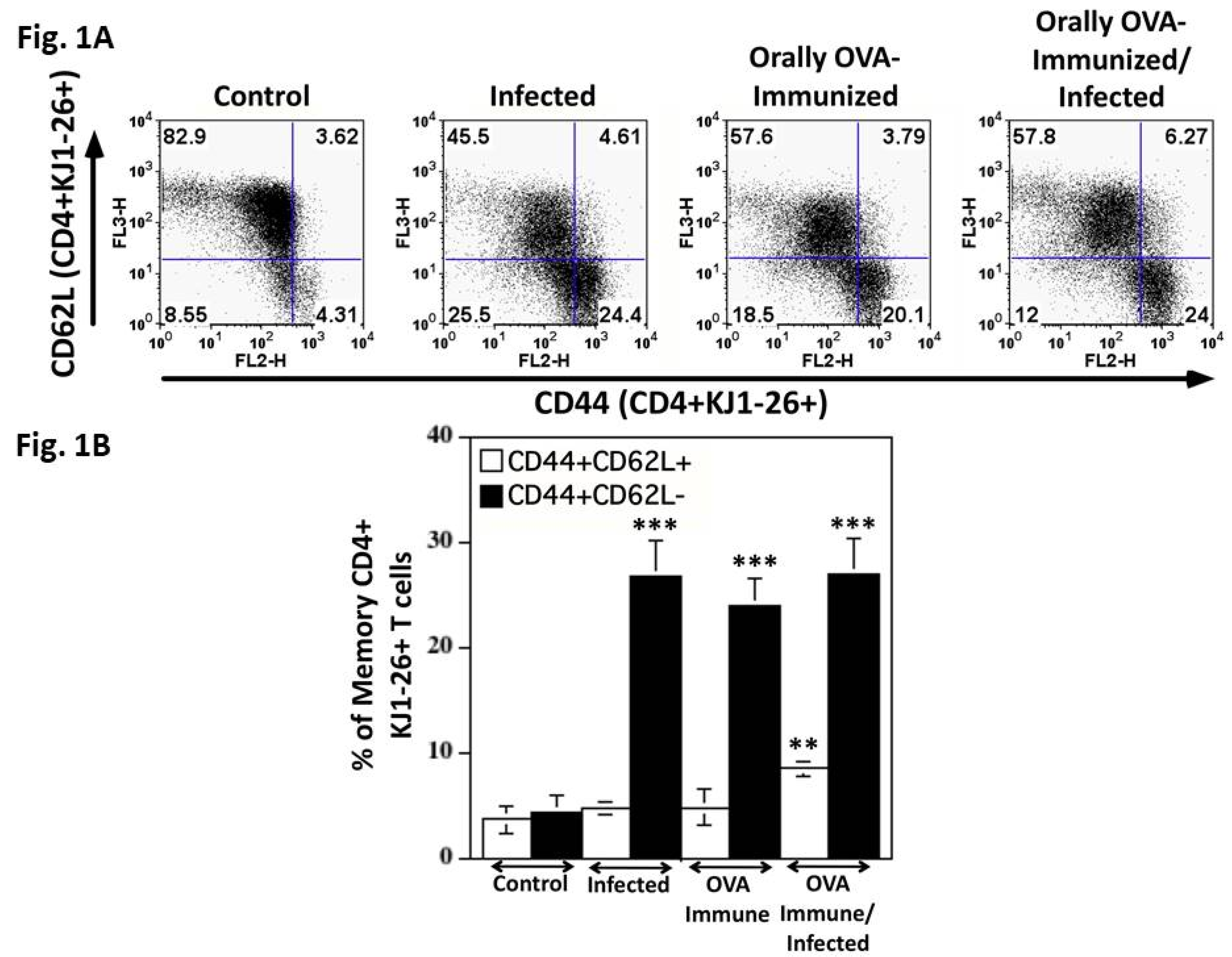 Preprints 178976 g001