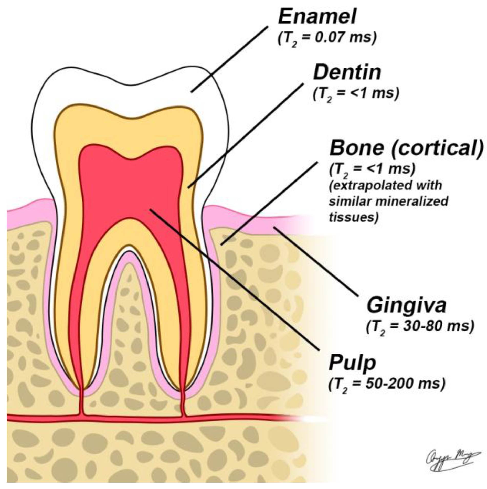 Preprints 156076 g001