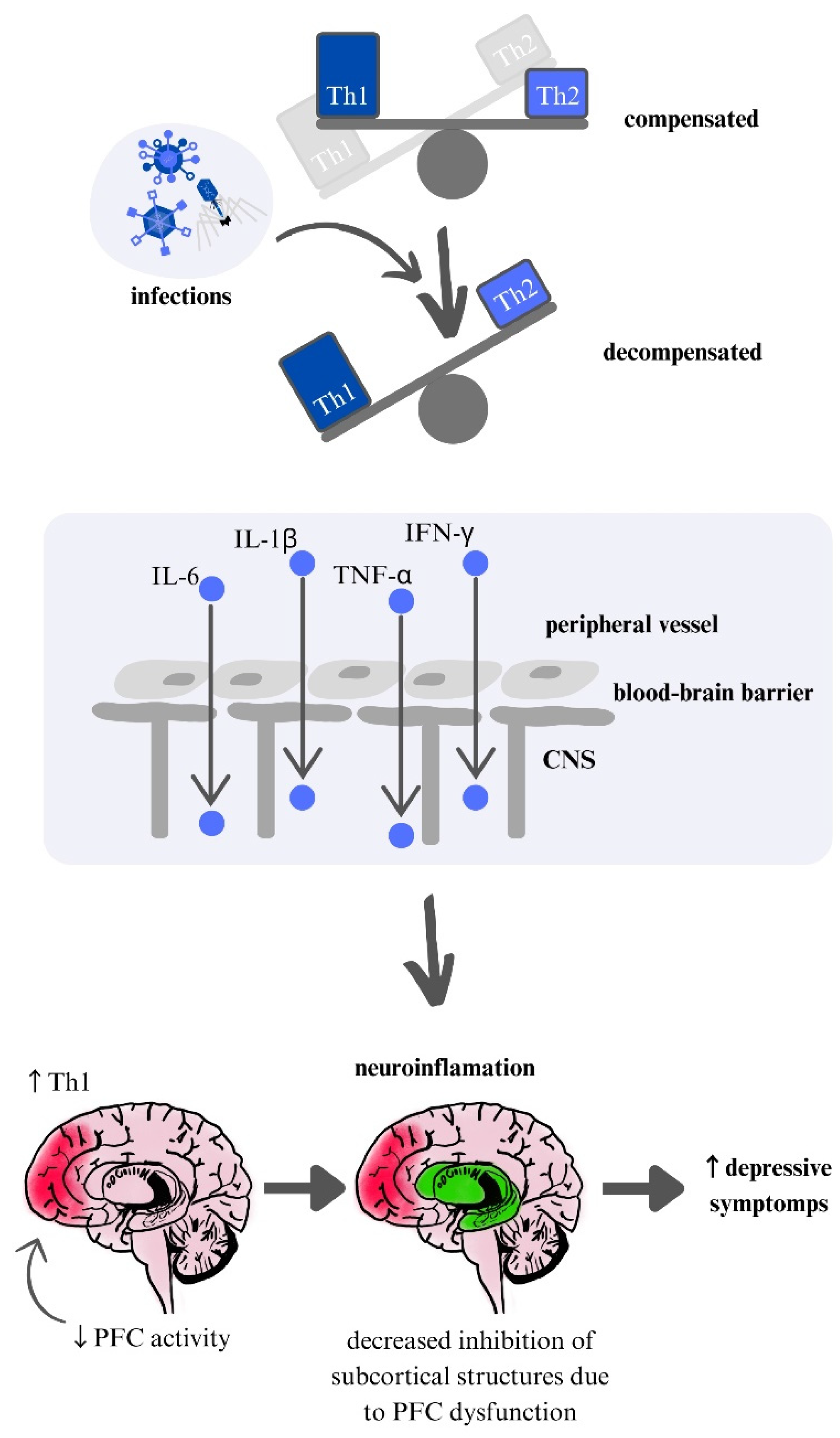 Preprints 146867 g003
