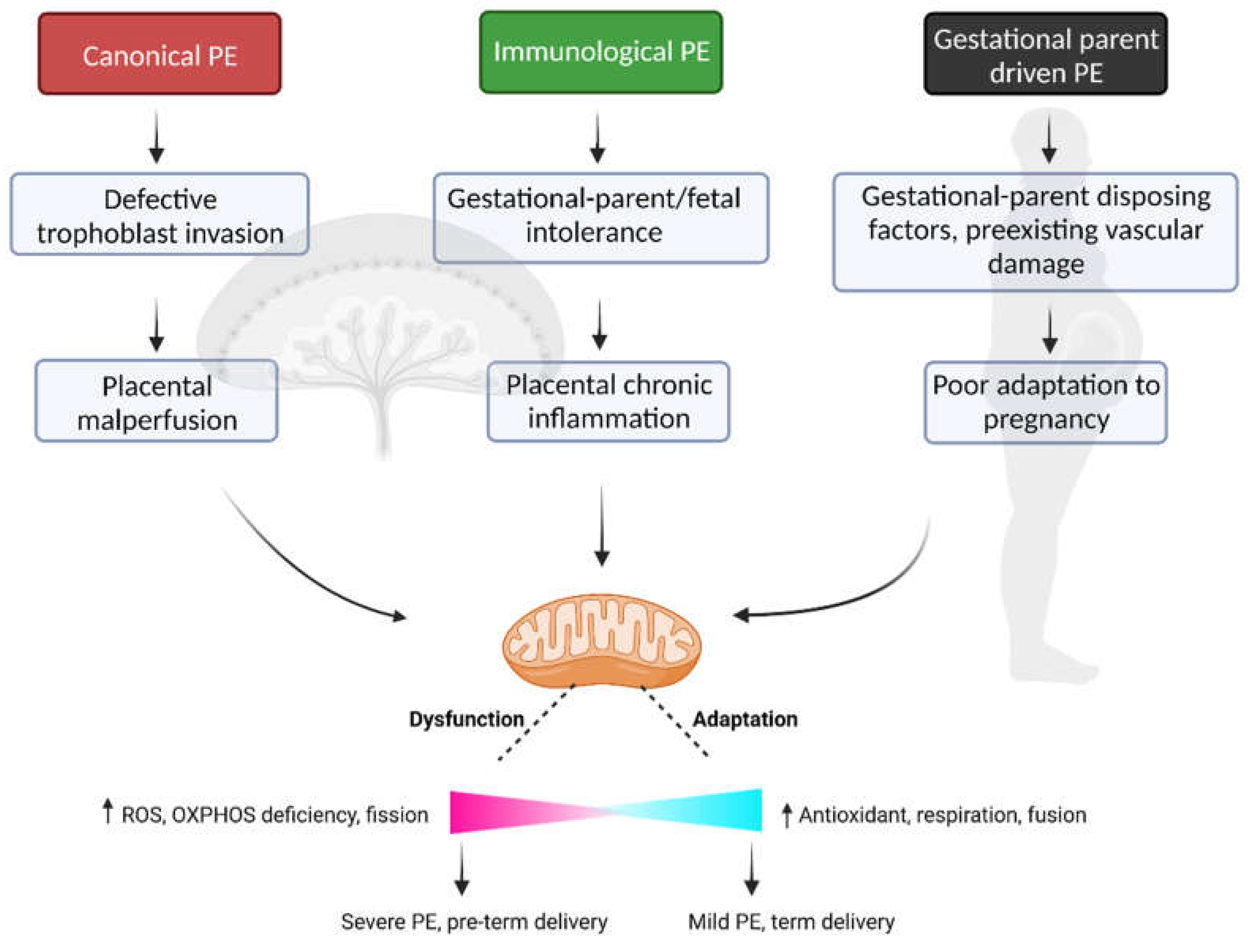 Preprints 67953 g001
