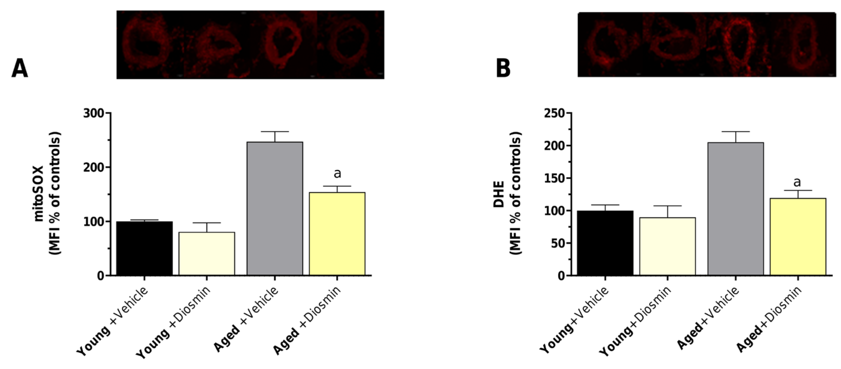 Preprints 222009 g002
