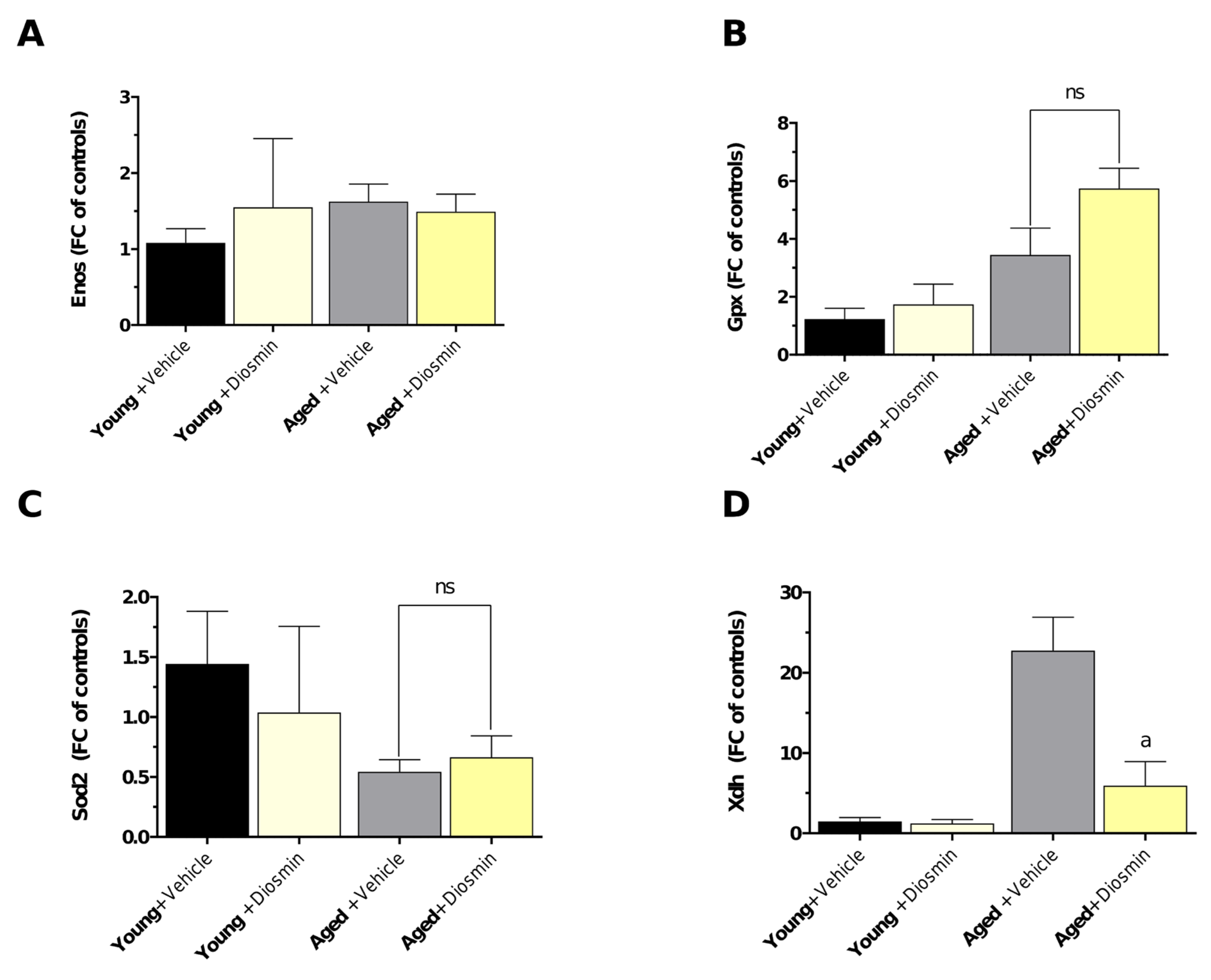 Preprints 222009 g005