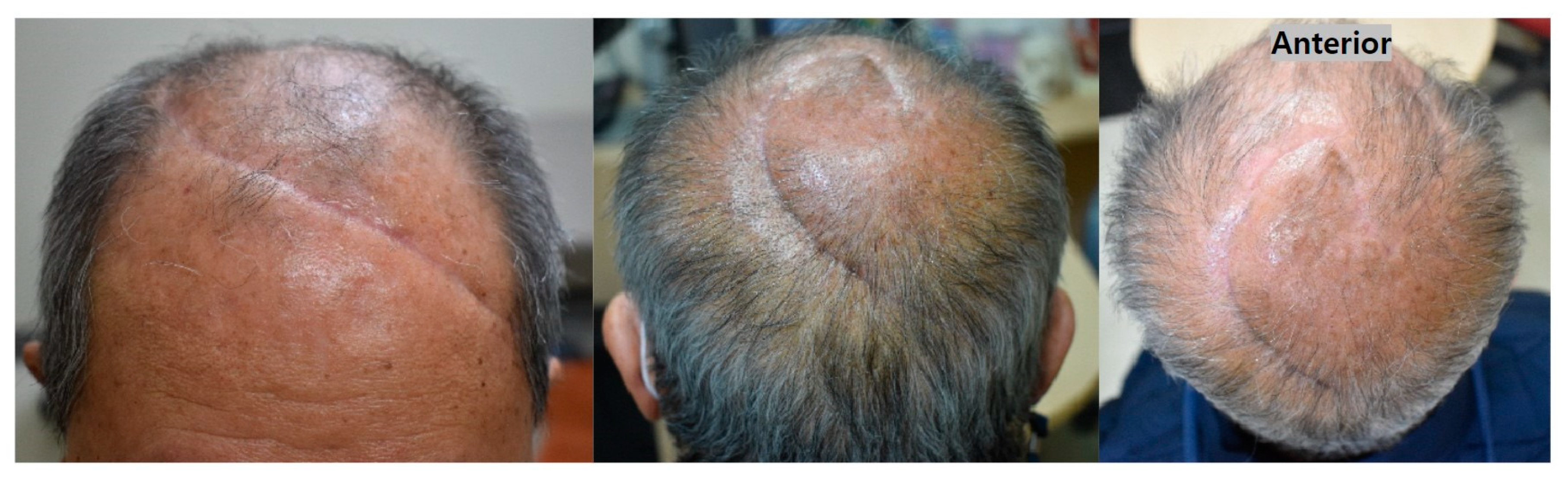 Preprints 86449 g006