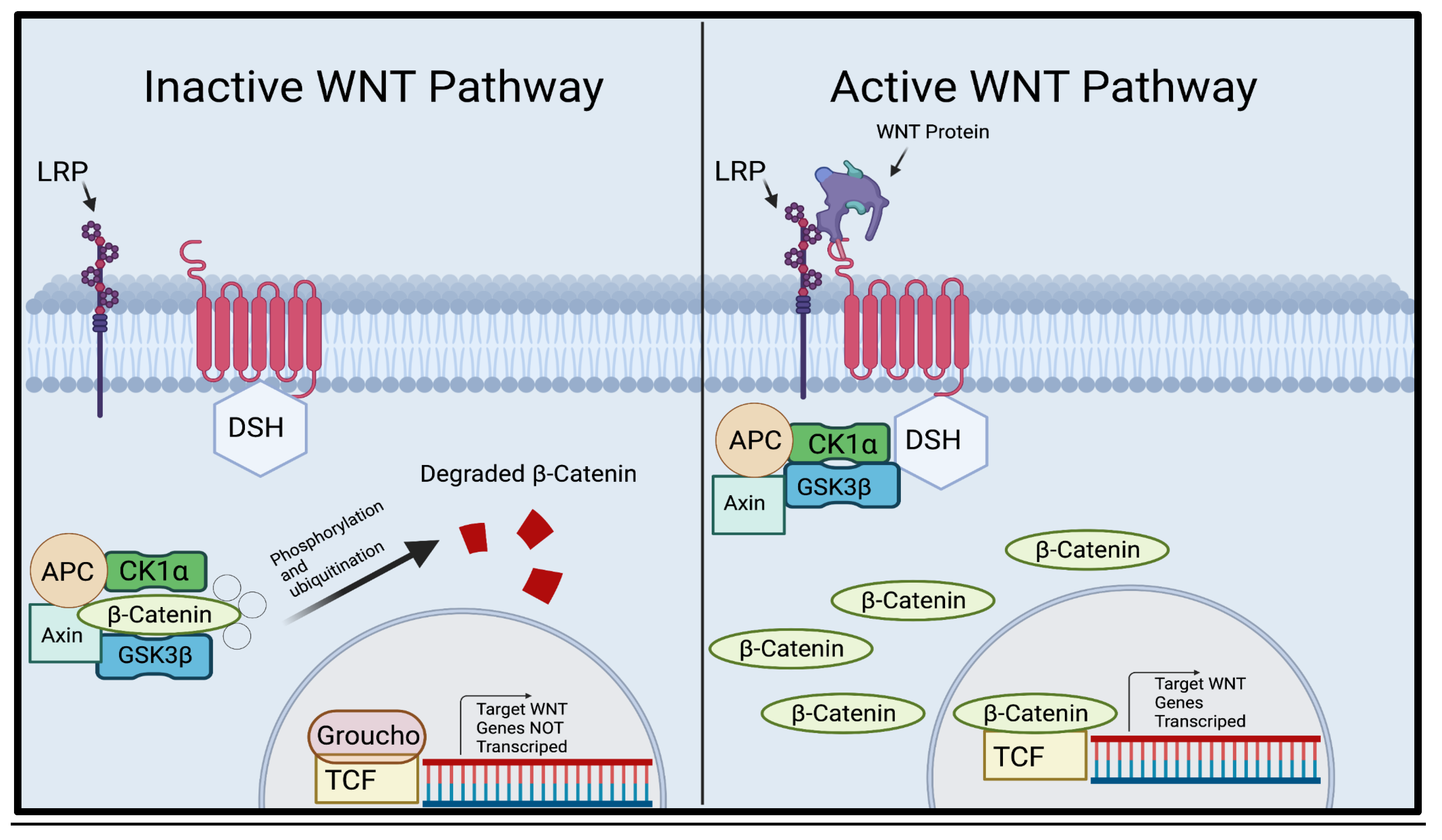 Preprints 102464 g001