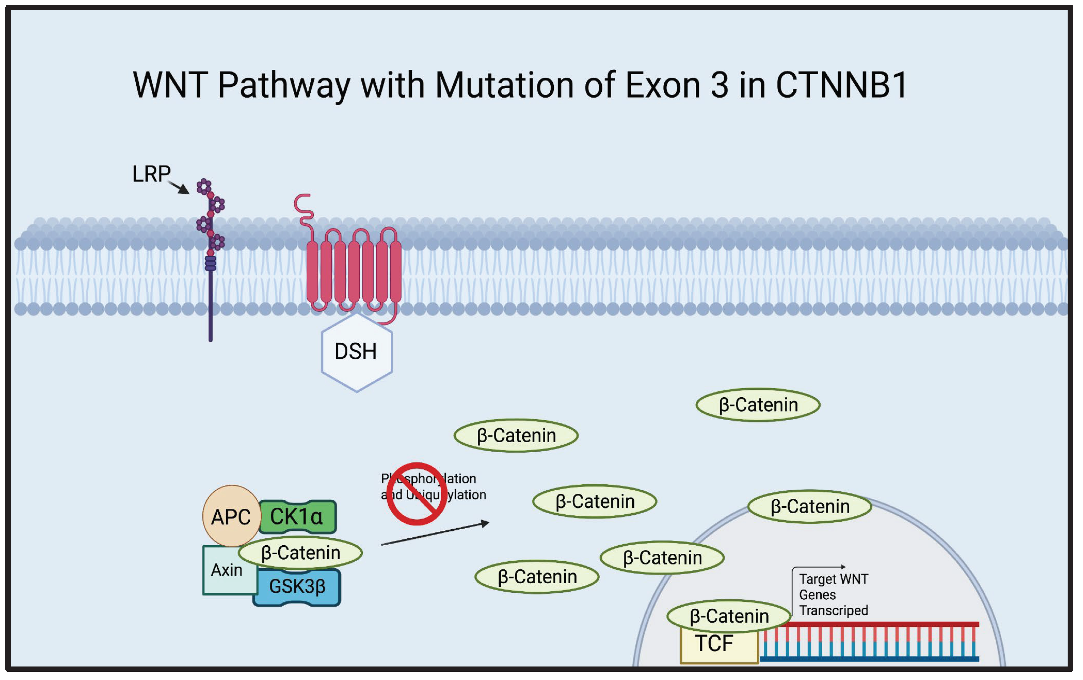 Preprints 102464 g002