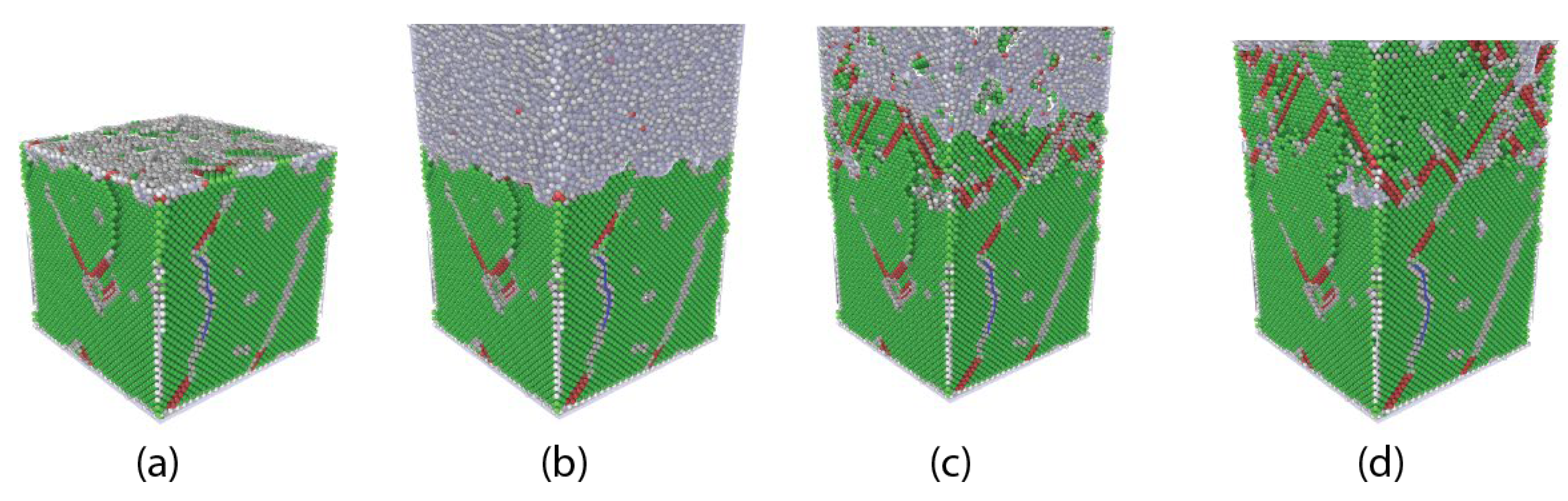Preprints 144310 g003