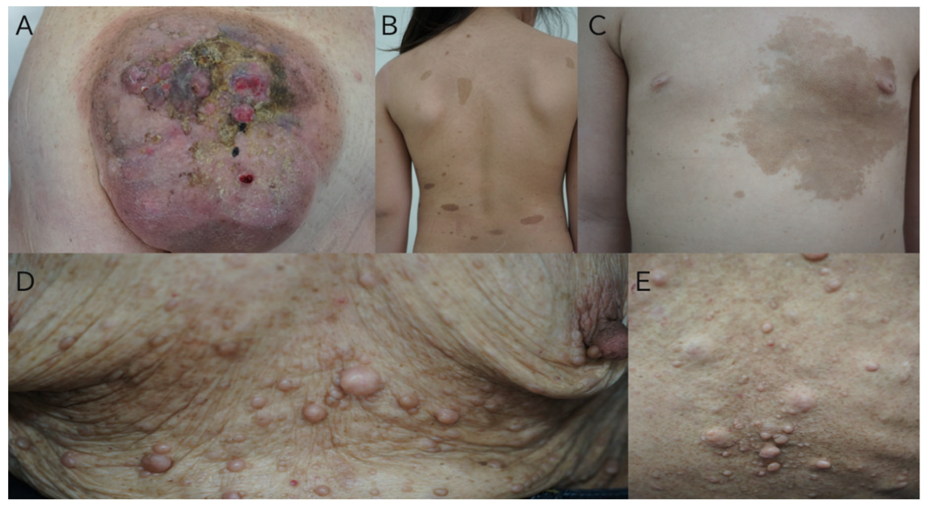 Preprints 162914 g001