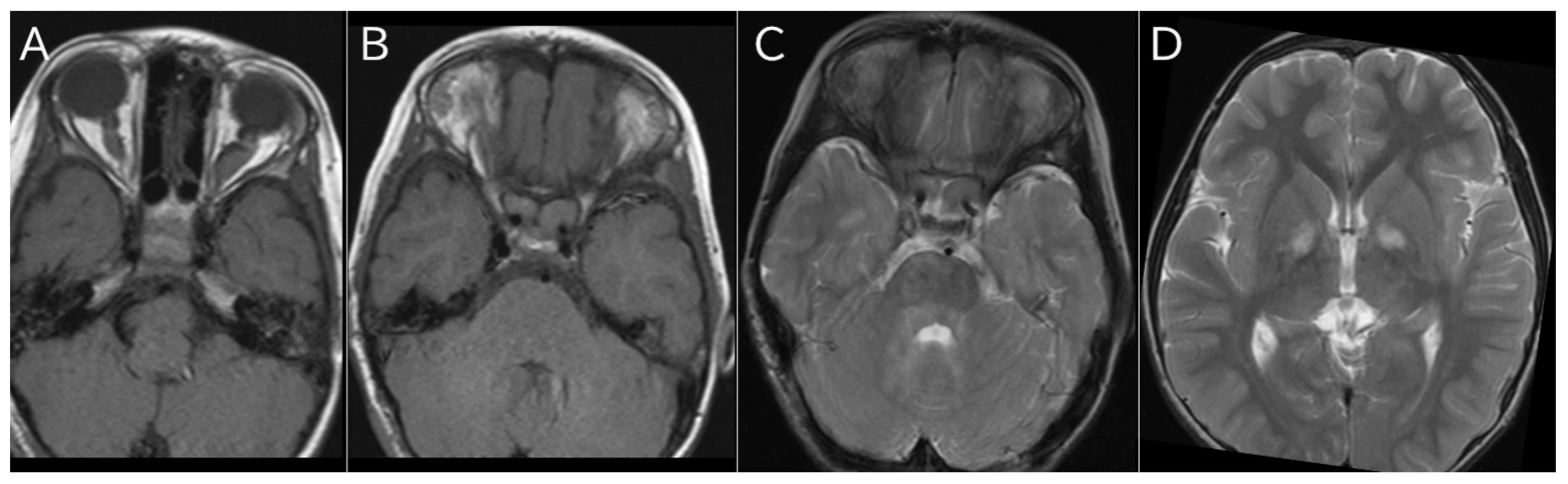 Preprints 162914 g002