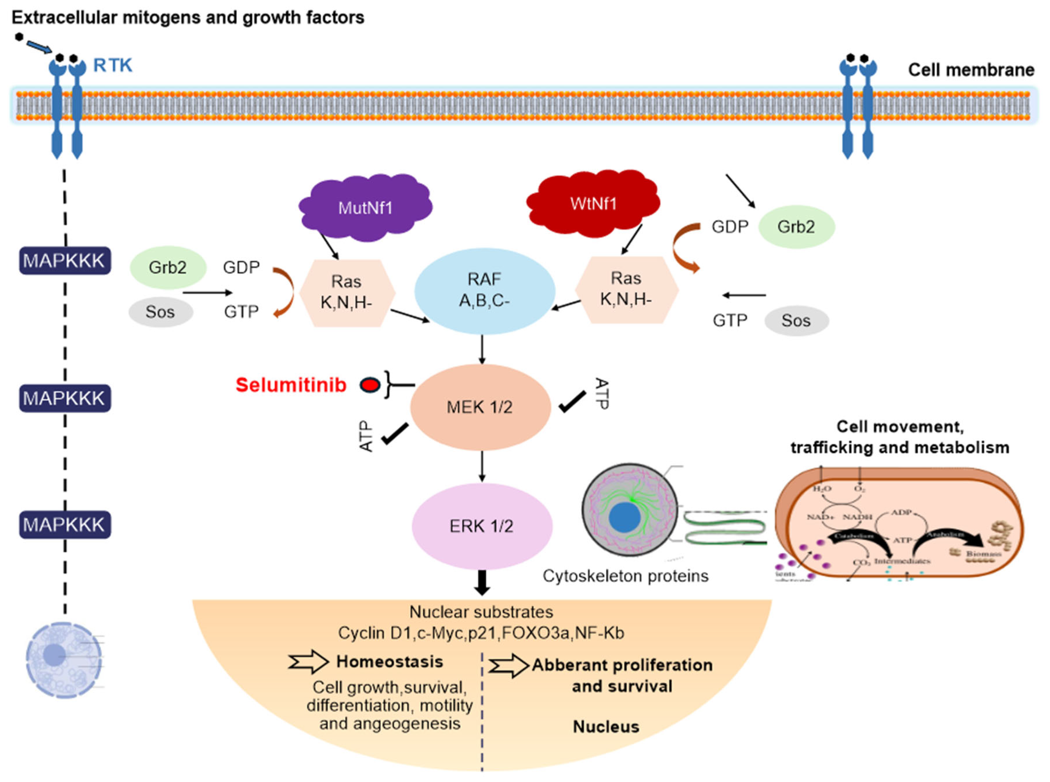Preprints 162914 g003