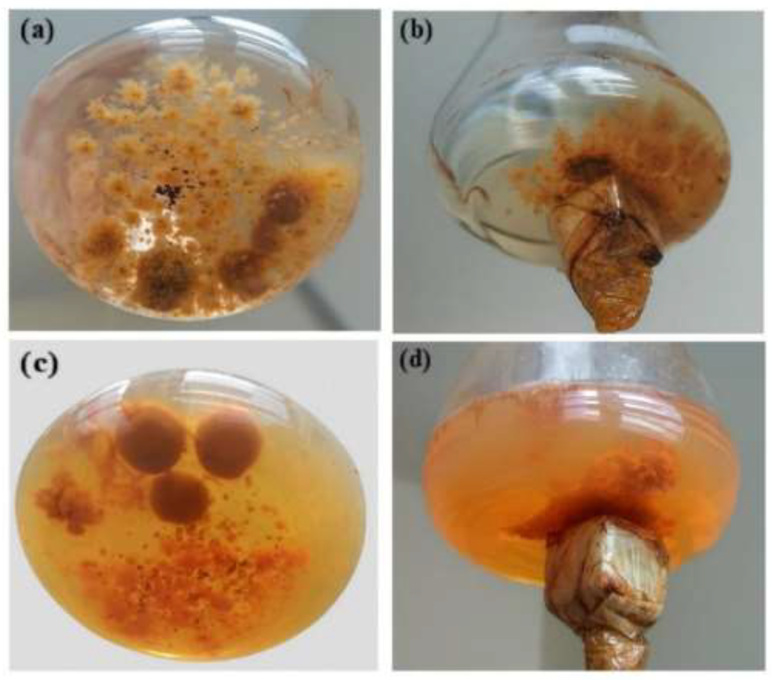 Preprints 195795 g004