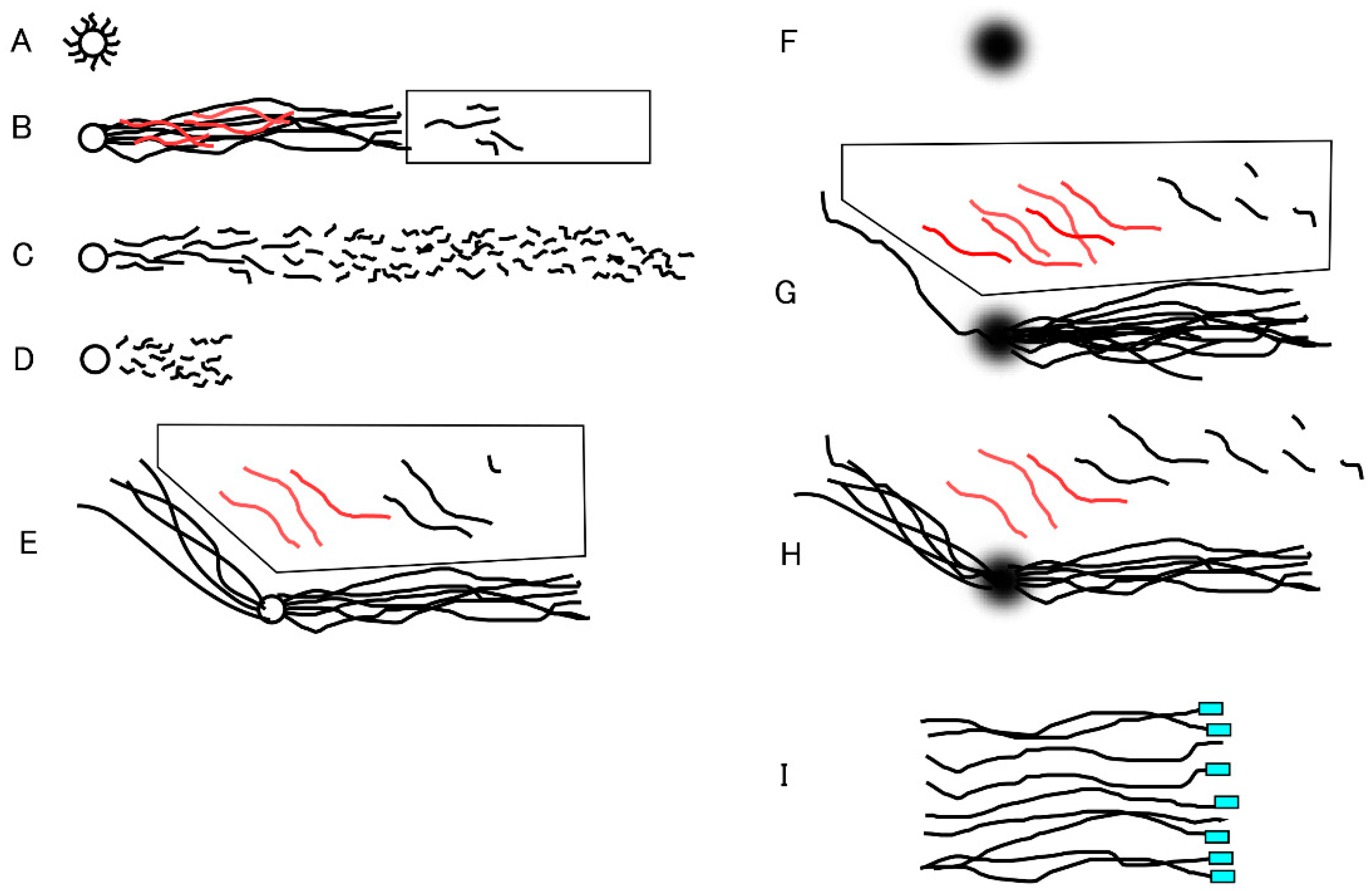 Preprints 168743 g001