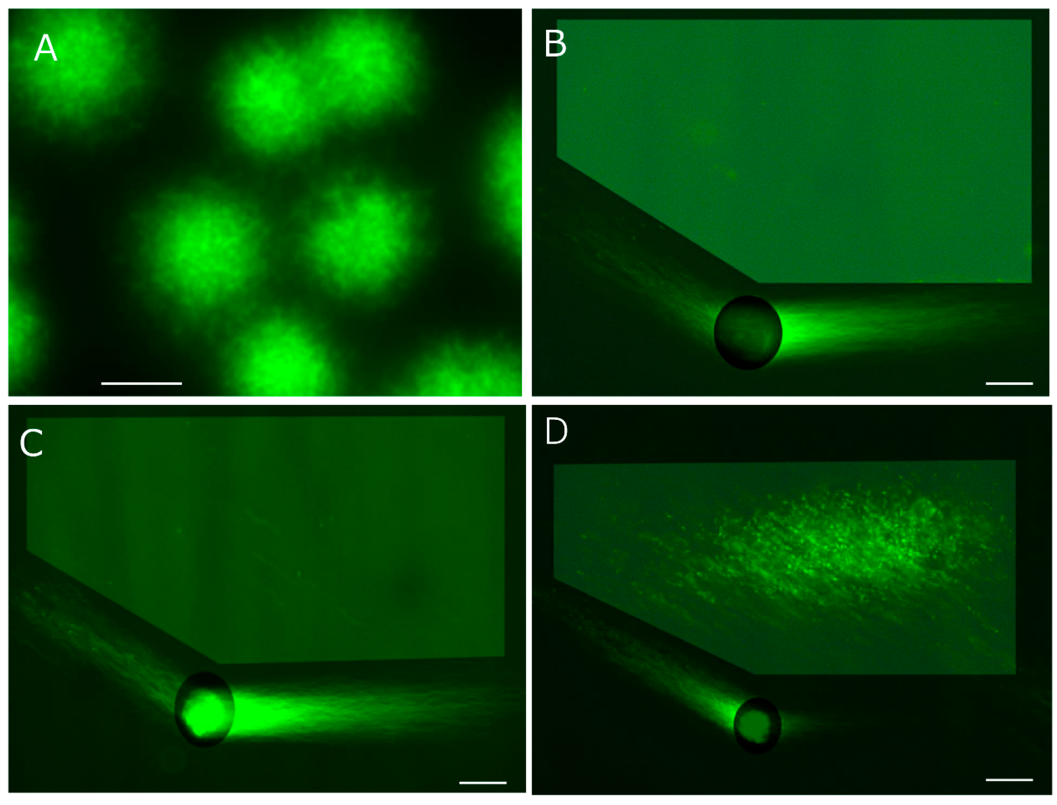 Preprints 168743 g004