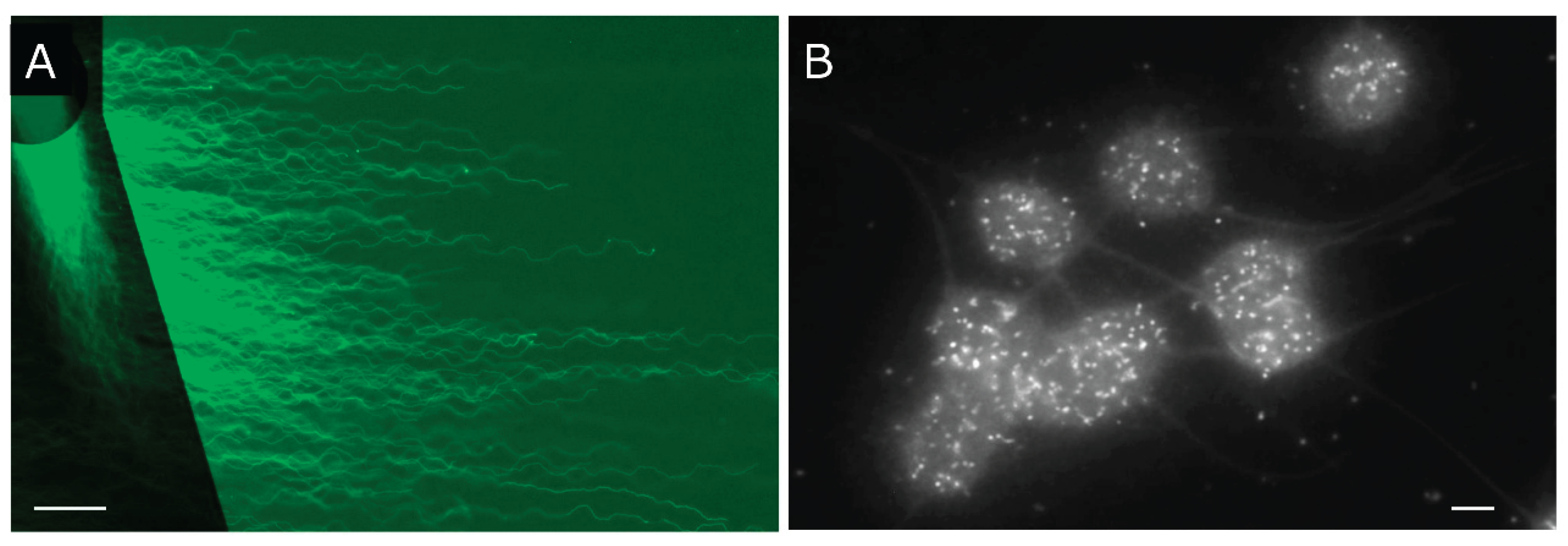 Preprints 168743 g006