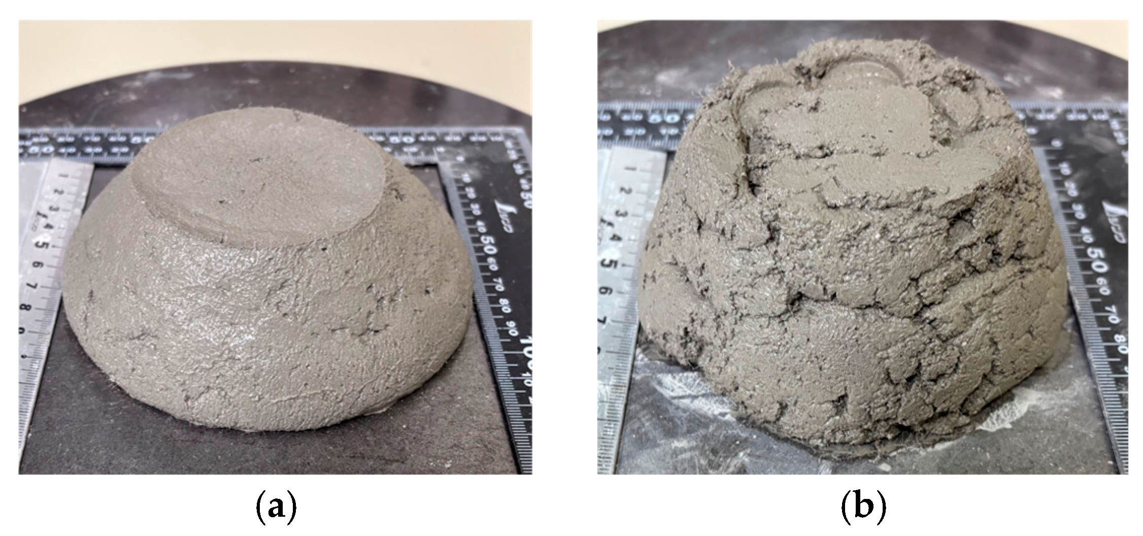 Preprints 197818 g008