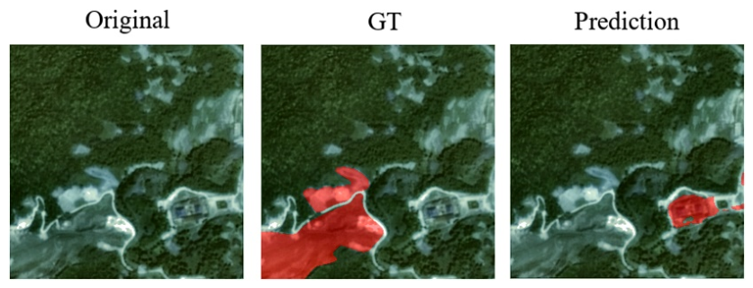 Preprints 222173 g011