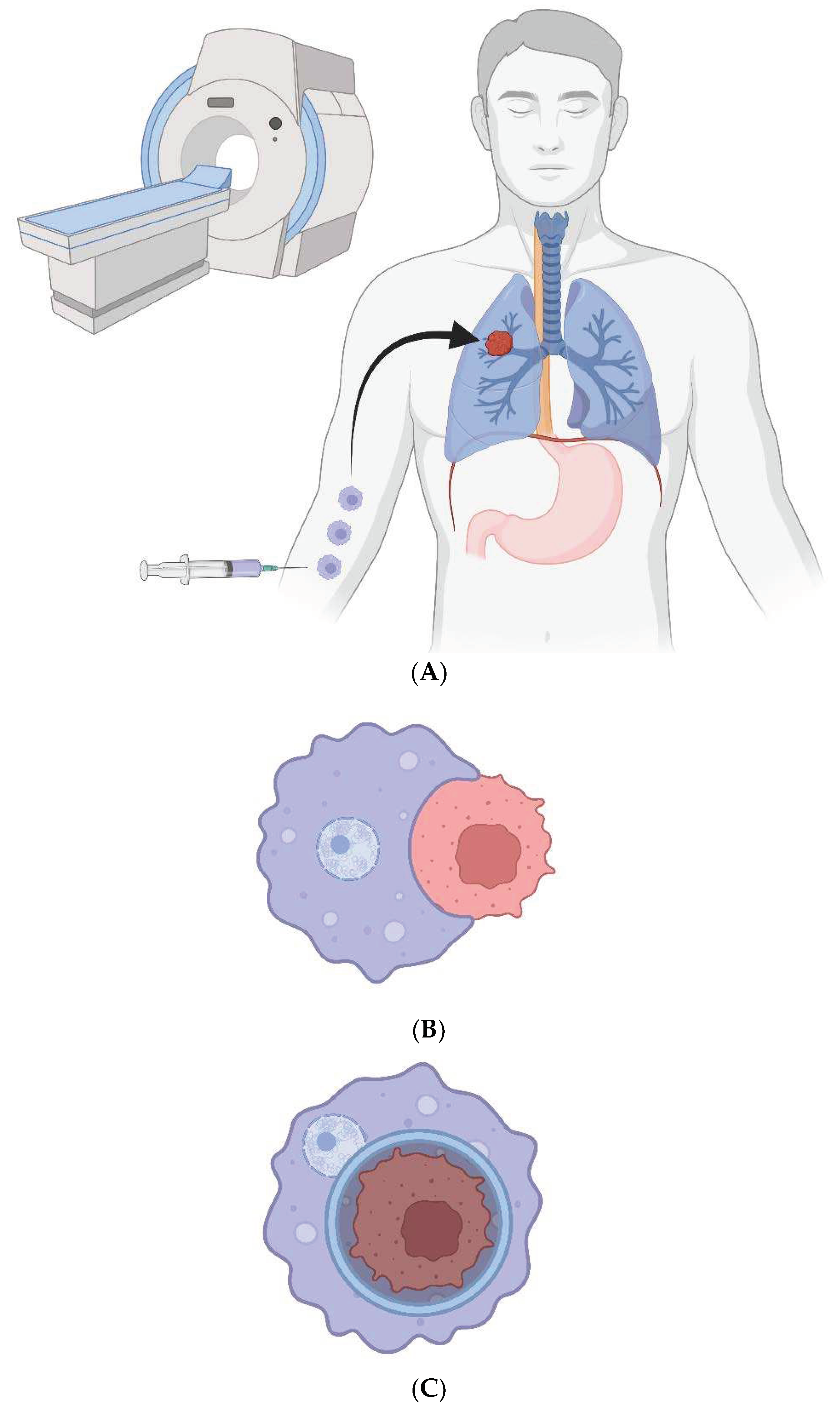 Preprints 82887 g001a