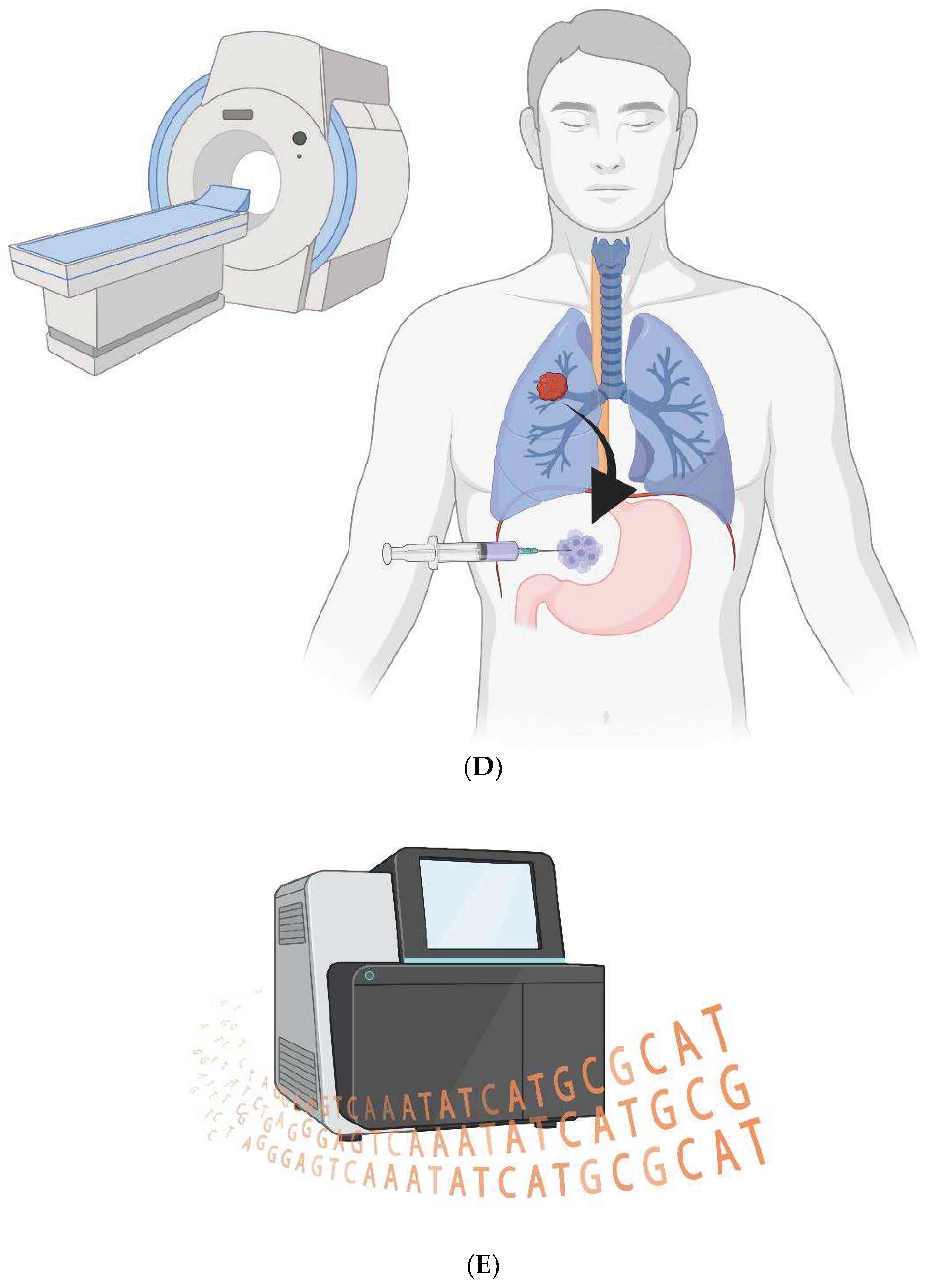 Preprints 82887 g001b